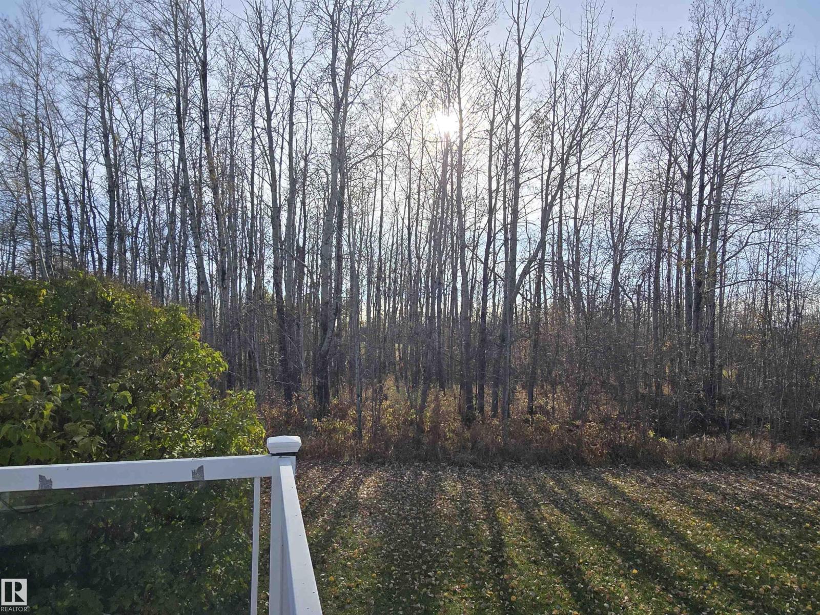 465051 R R 41, Rural Wetaskiwin County, Alberta T0C 2X0 - Photo 19 - E4462734