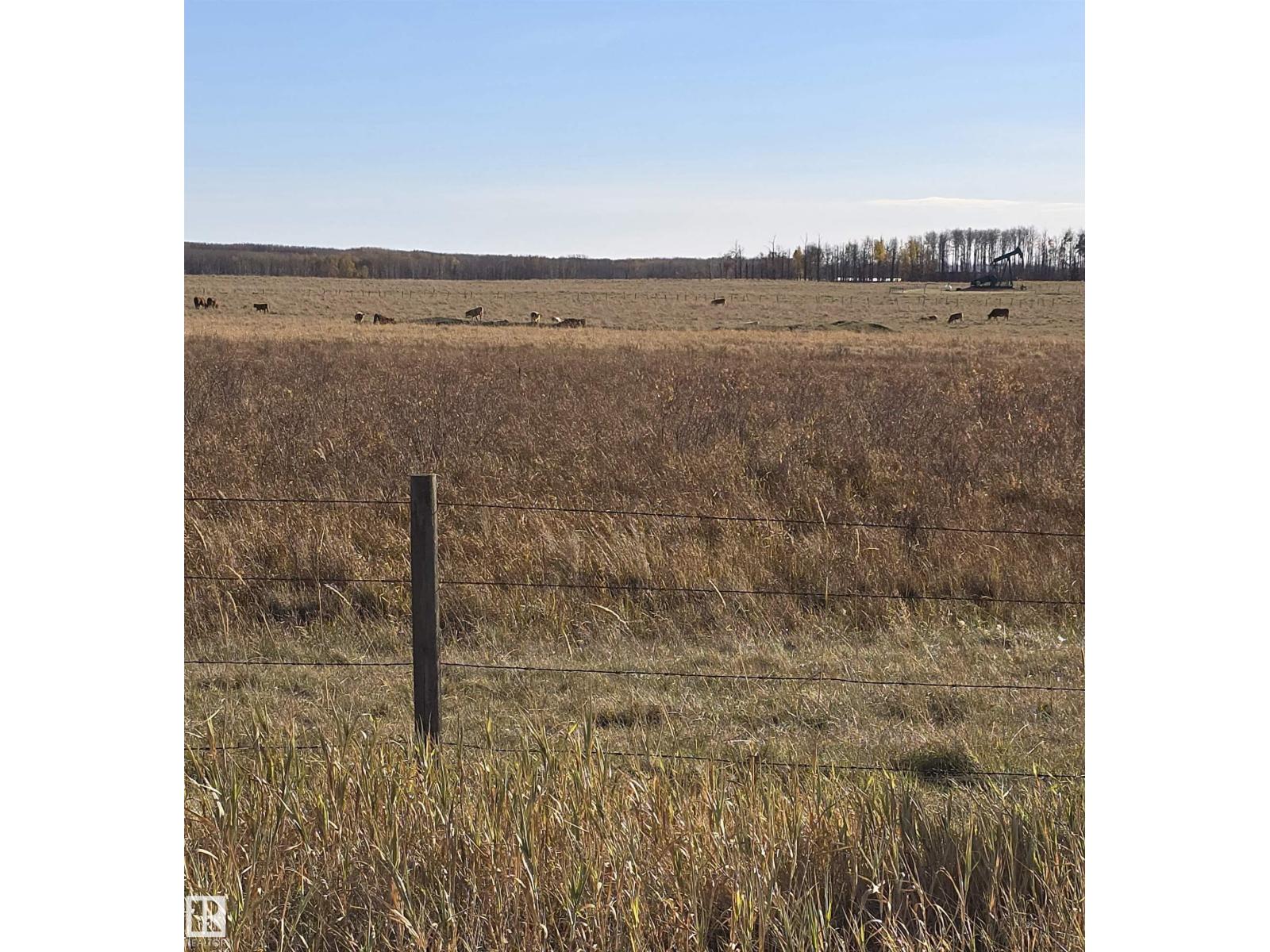 465051 R R 41, Rural Wetaskiwin County, Alberta T0C 2X0 - Photo 2 - E4462734