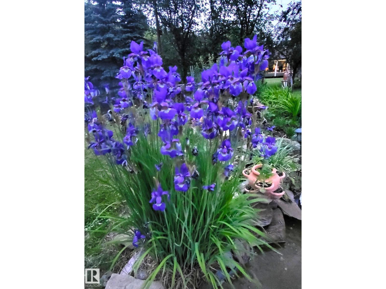 4911 46 St, Evansburg, Alberta  T0E 0T0 - Photo 51 - E4462994