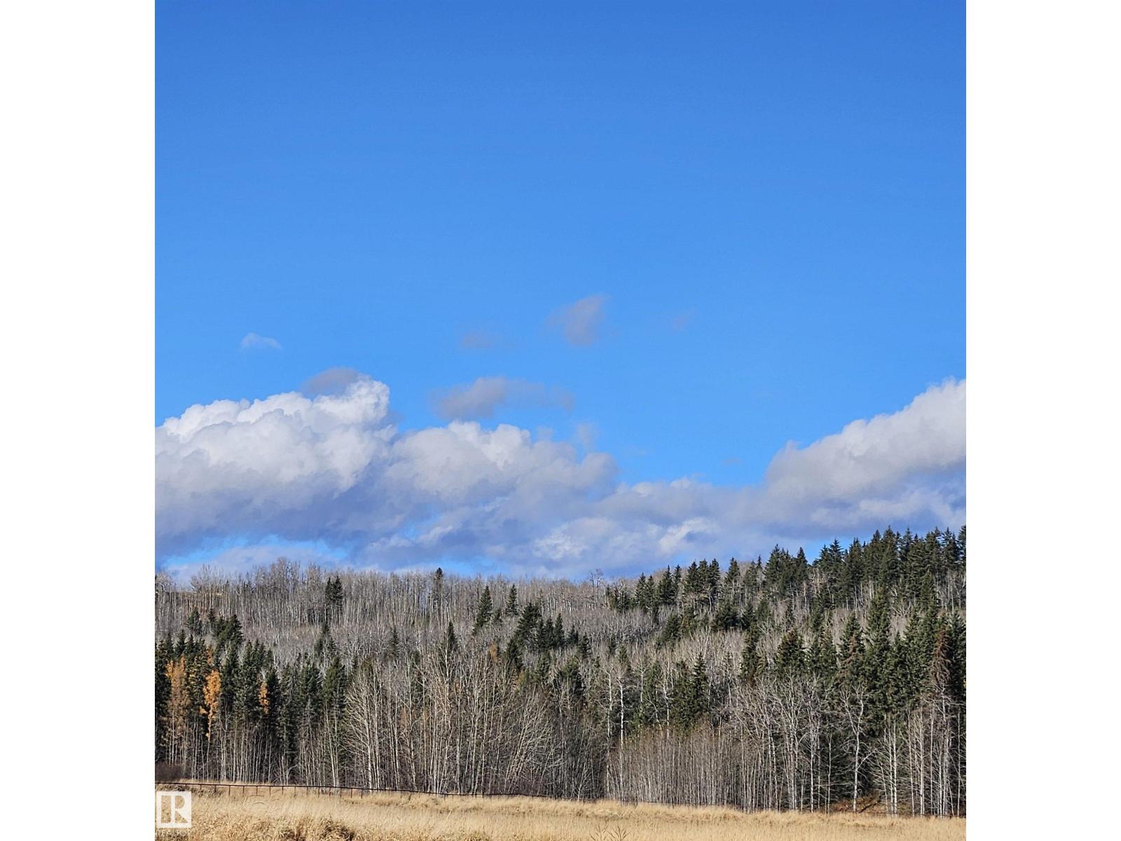 6501 Twp Road 502 House A; B, Rural Brazeau County, Alberta T7A 2A2 - Photo 59 - E4463318