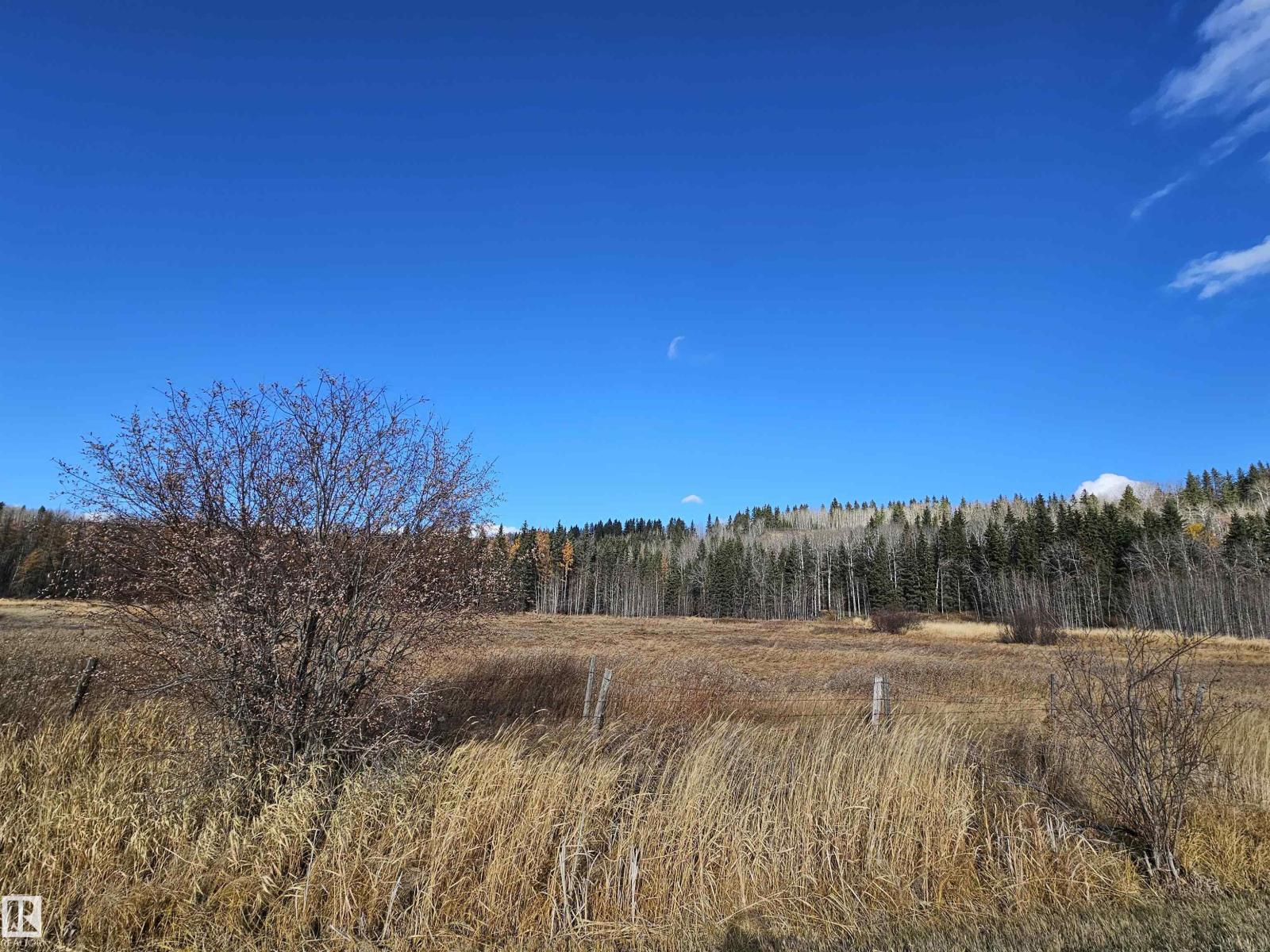 6501 Twp Road 502 House A; B, Rural Brazeau County, Alberta T7A 2A2 - Photo 61 - E4463318