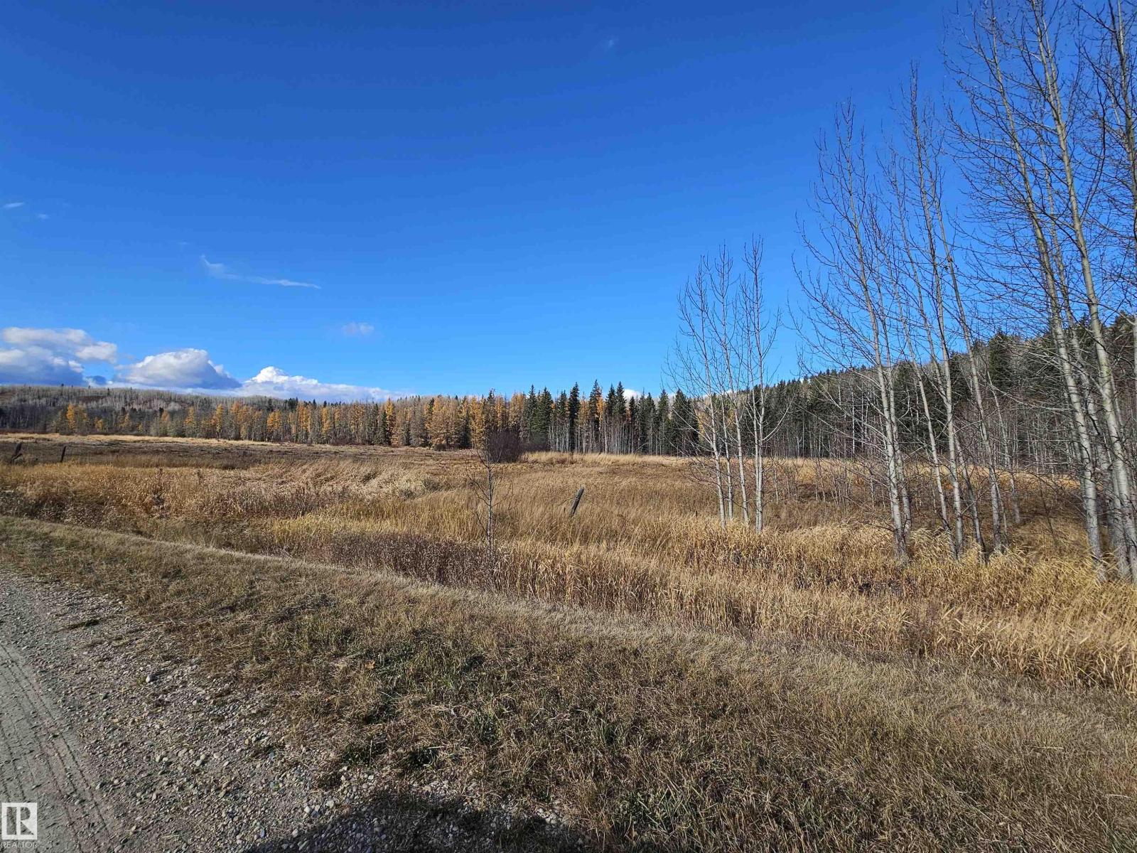 6501 Twp Road 502 House A; B, Rural Brazeau County, Alberta T7A 2A2 - Photo 62 - E4463318