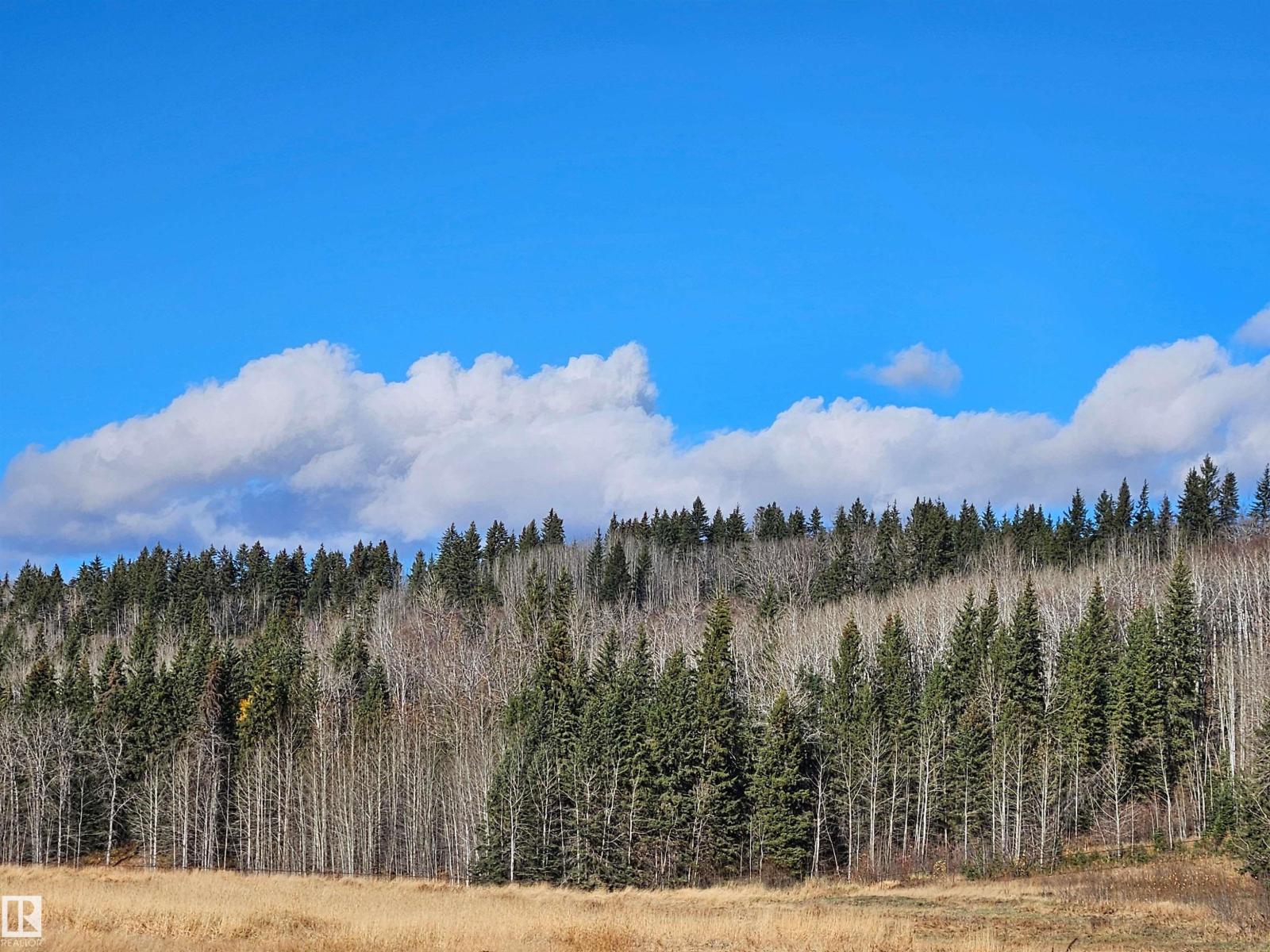 6501 Twp Road 502 House A; B, Rural Brazeau County, Alberta T7A 2A2 - Photo 63 - E4463318