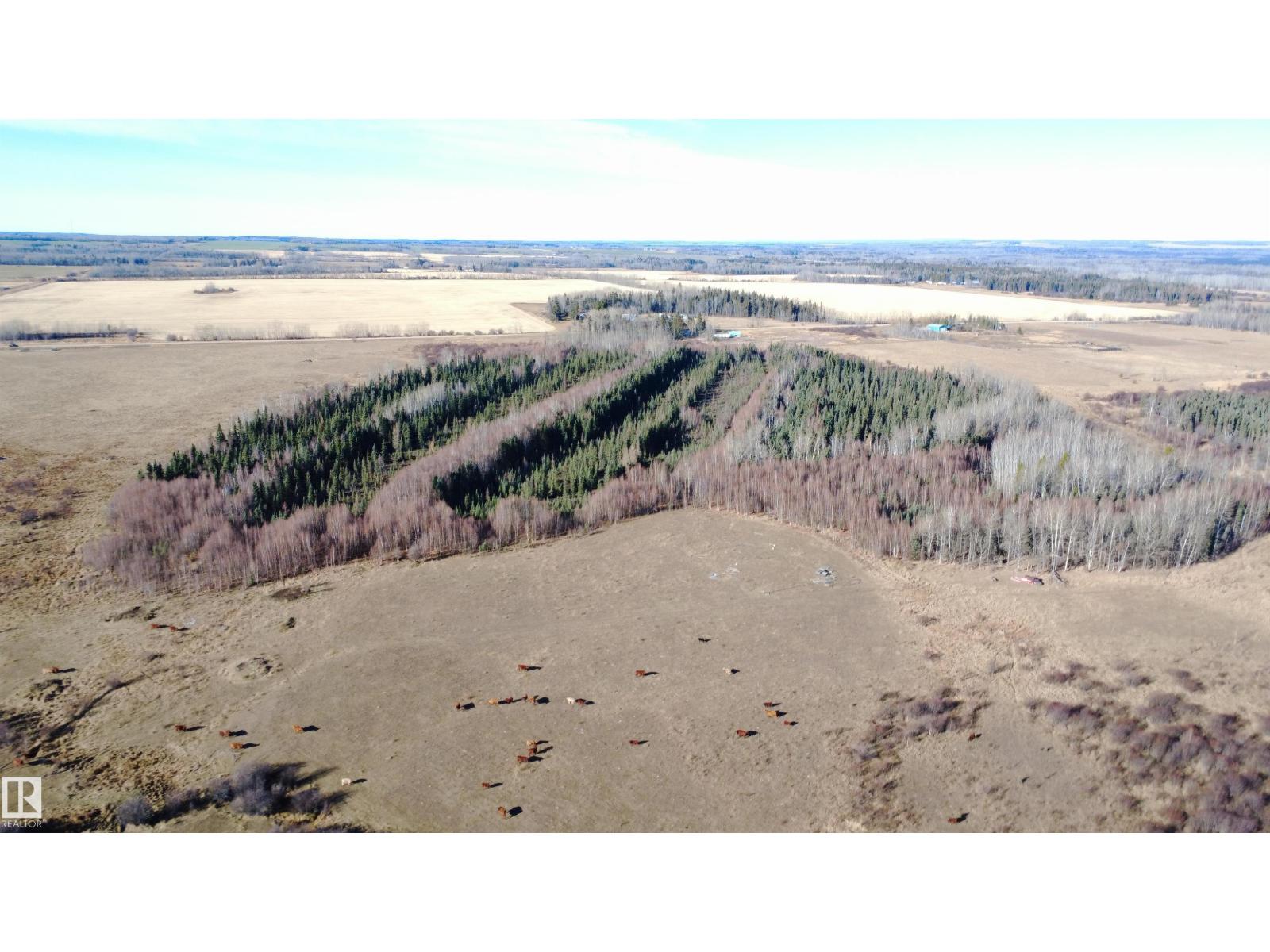 Sw 21-53-8-W5, Rural Yellowhead, Alberta  T0E 2M0 - Photo 13 - E4463830