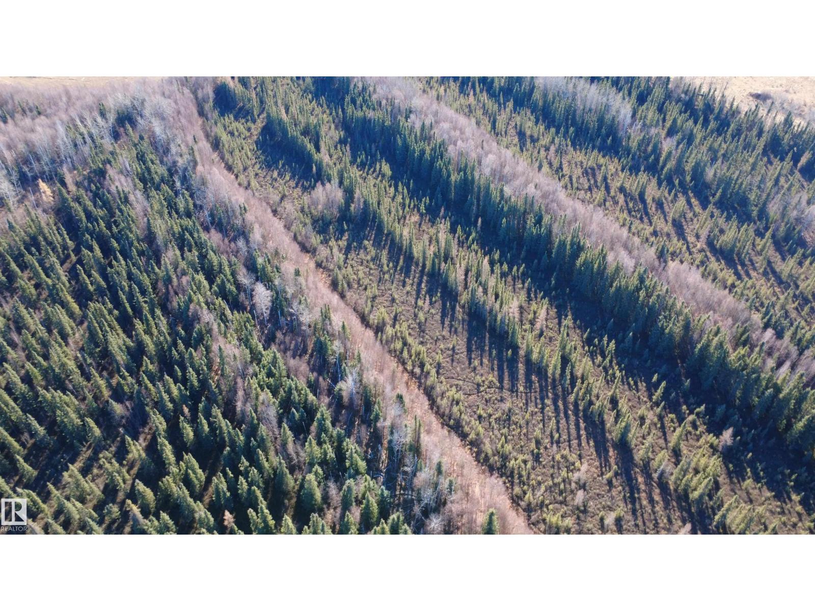 Sw 21-53-8-W5, Rural Yellowhead, Alberta  T0E 2M0 - Photo 7 - E4463830