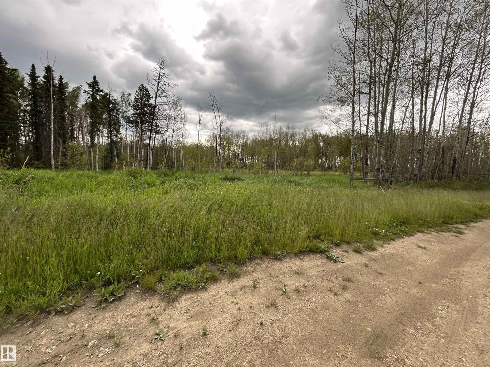 48022 Rge Road 60, Rural Brazeau County, Alberta T0C 0S0 - Photo 6 - E4463908