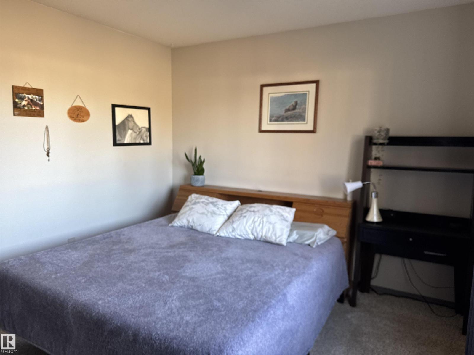 4745 49 Av, Drayton Valley, Alberta  T7A 1J3 - Photo 19 - E4463936