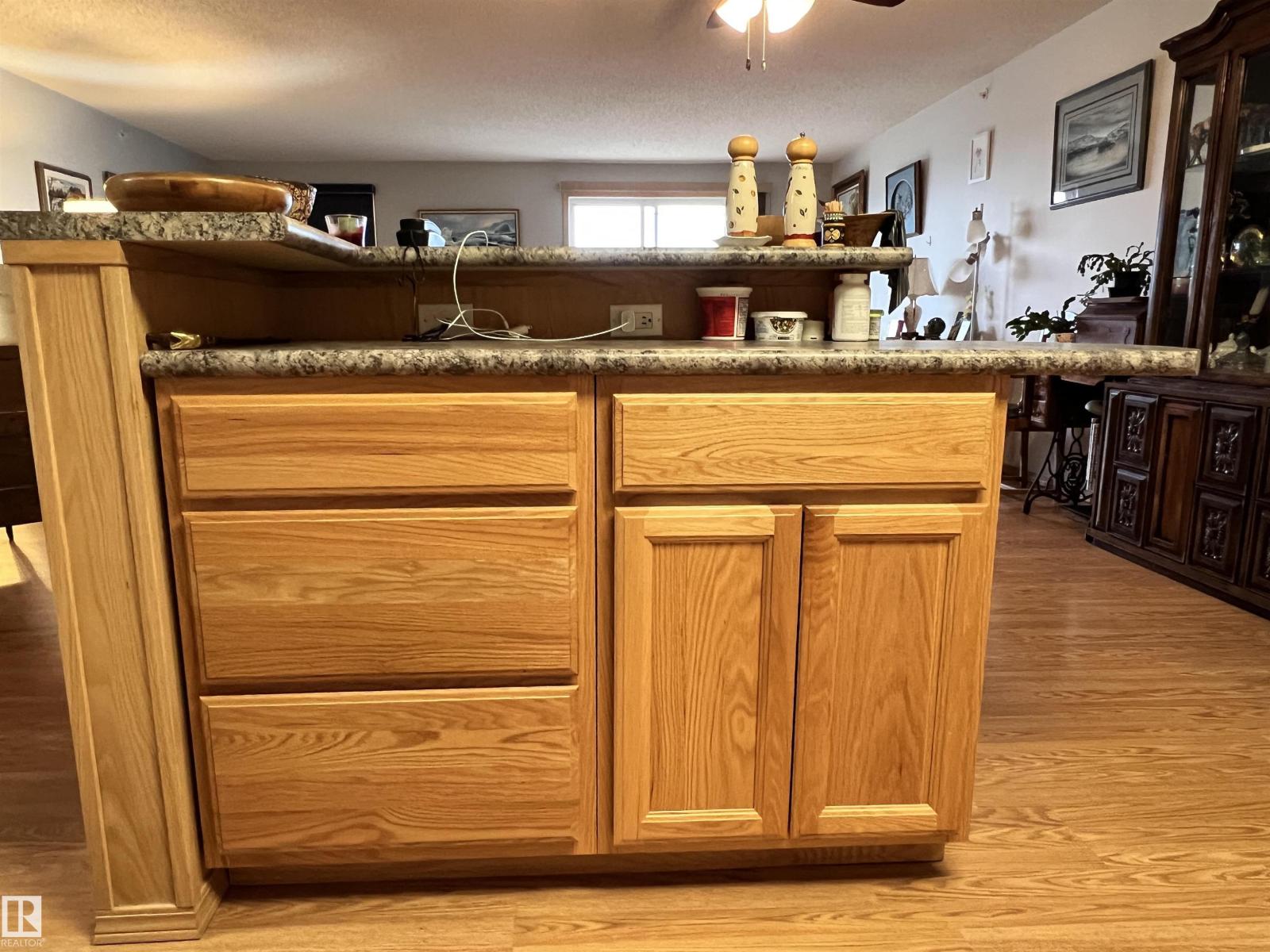 #406 4004 - 47 St., Drayton Valley, Alberta  T7A 0A2 - Photo 4 - E4463942