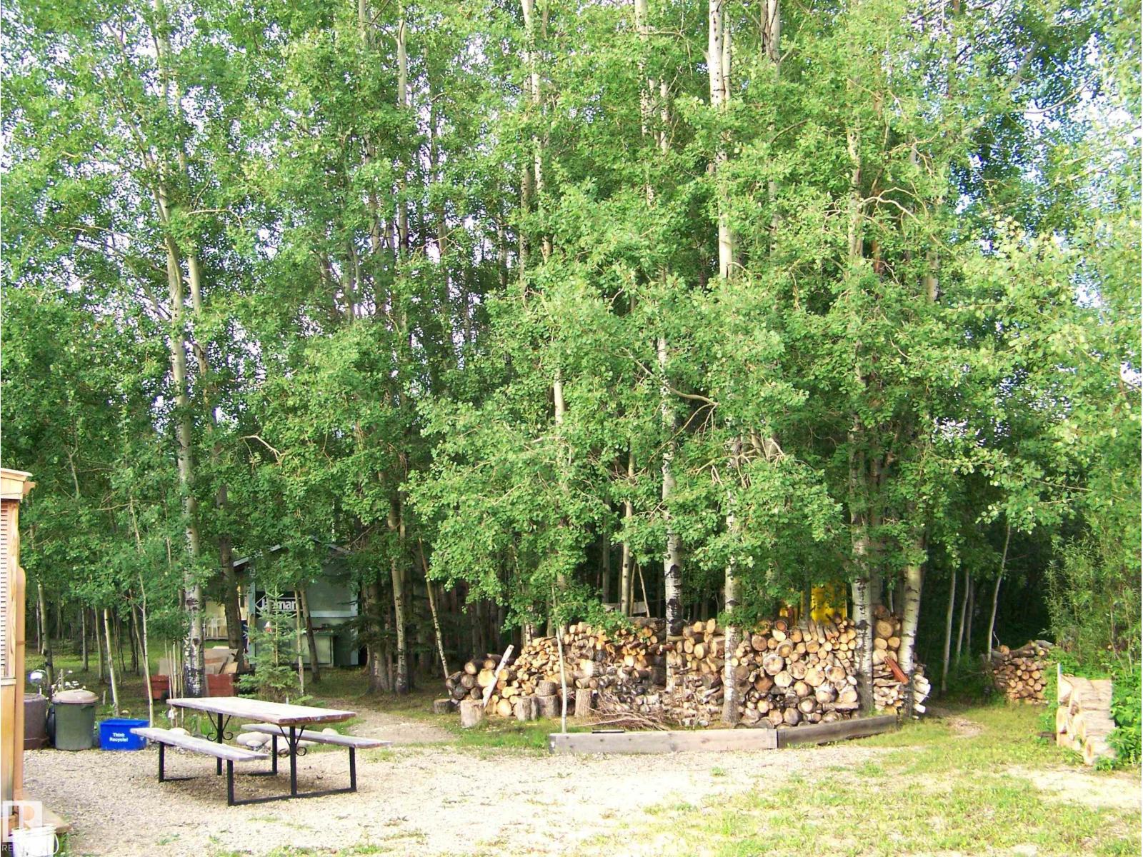 Main Street First Ave, Rural Parkland County, Alberta  T0E 0S0 - Photo 30 - E4463975