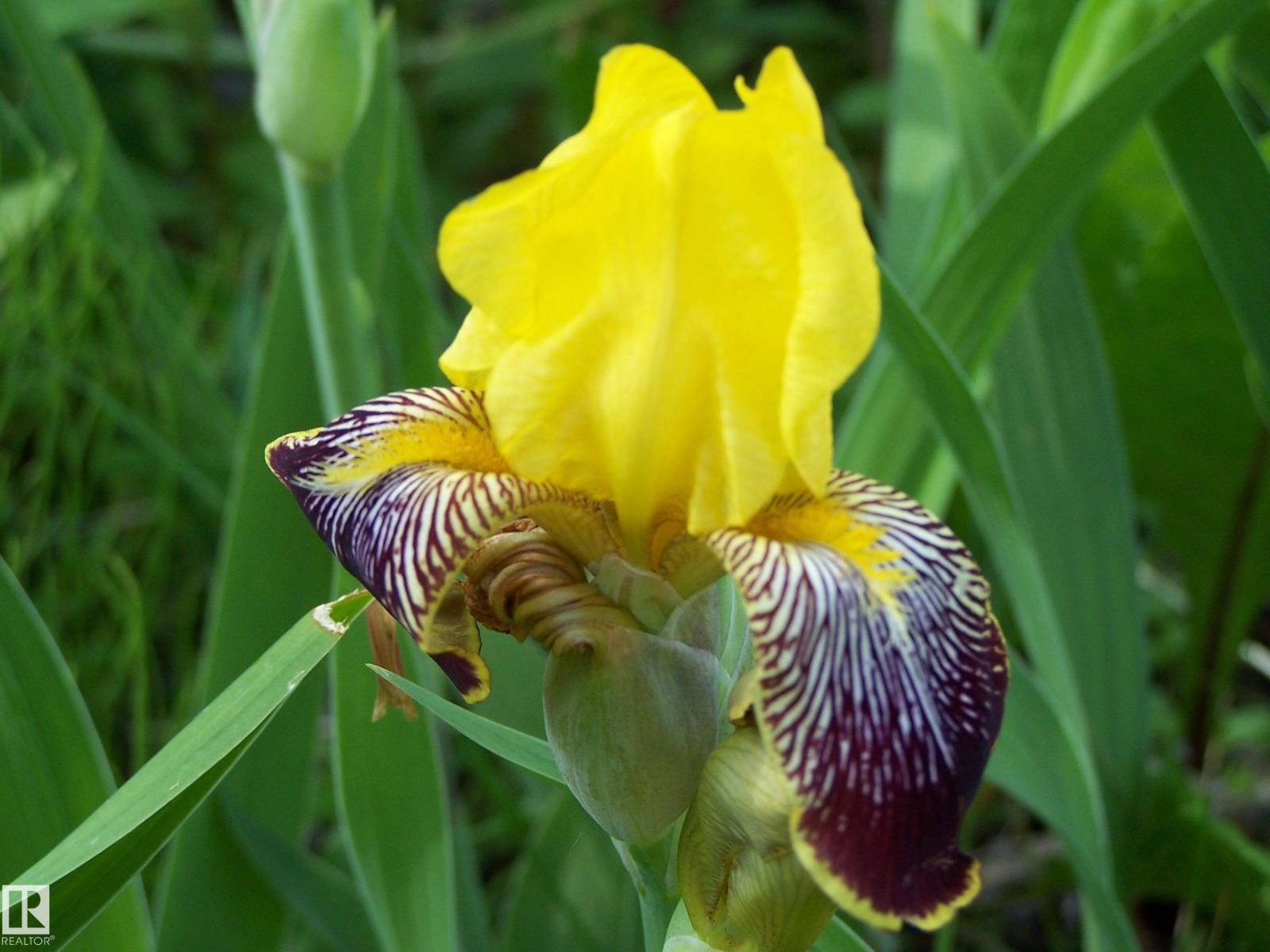Main Street First Ave, Rural Parkland County, Alberta  T0E 0S0 - Photo 36 - E4463975