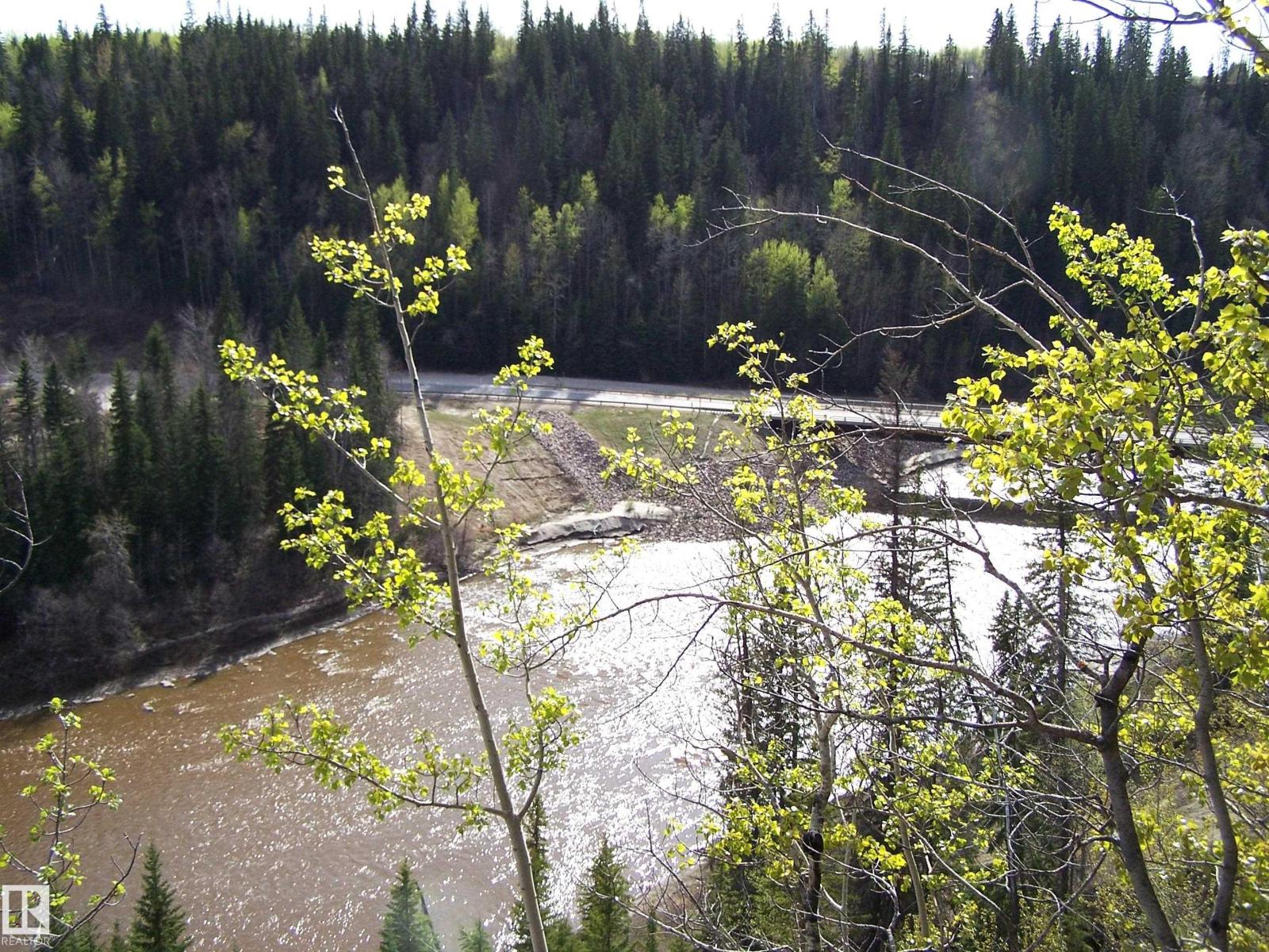 Main Street First Ave, Rural Parkland County, Alberta  T0E 0S0 - Photo 40 - E4463975