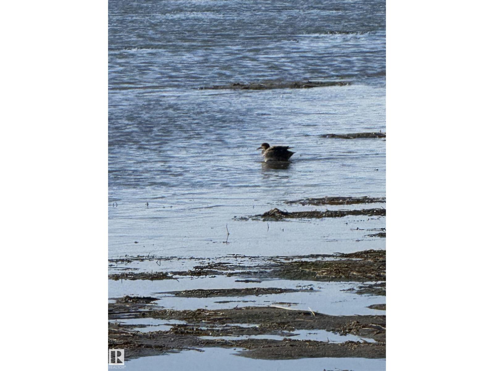 102 1 Street, Rural Lac Ste. Anne County, Alberta  T0E 1A0 - Photo 58 - E4464155