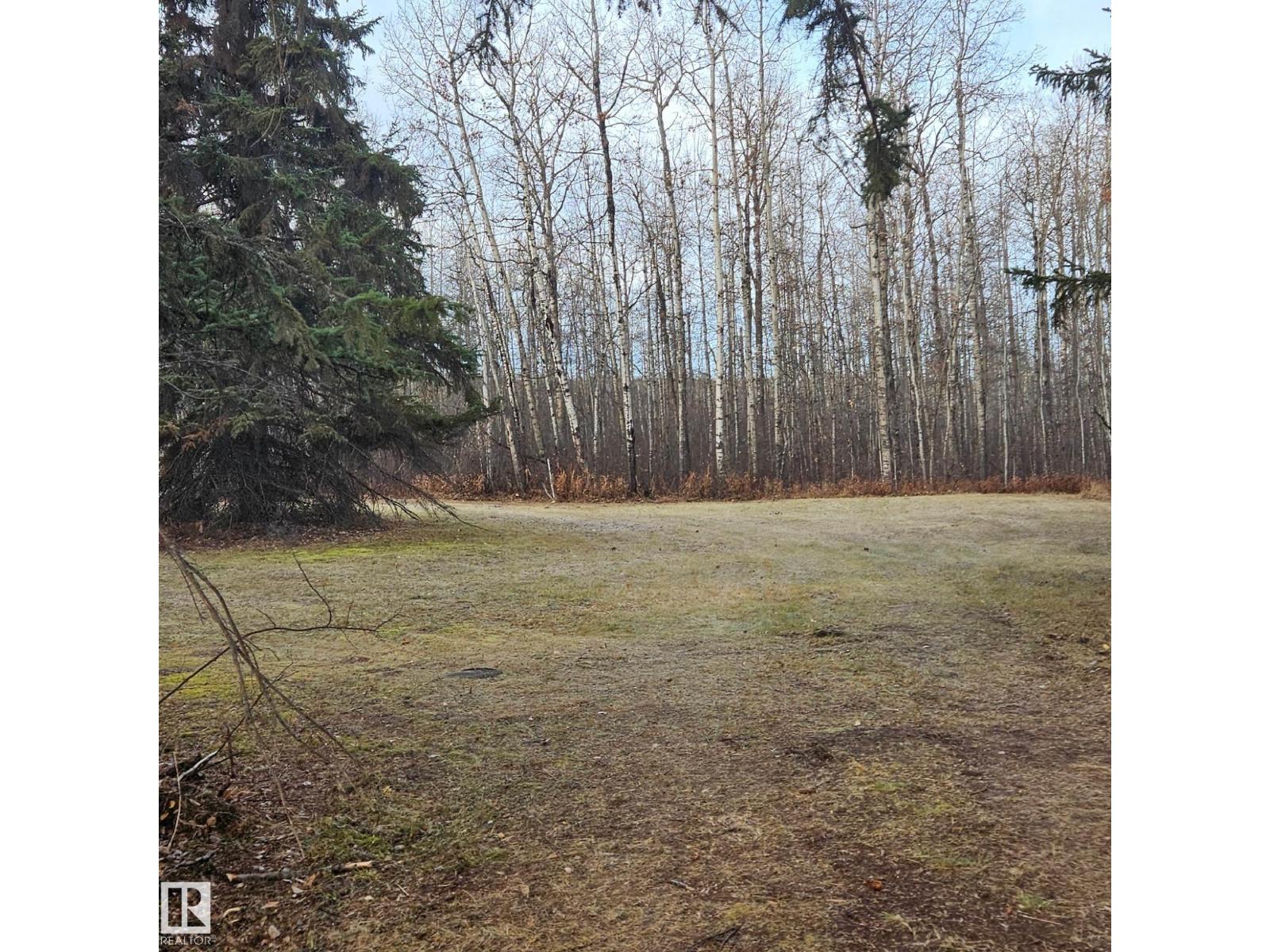 55232 Range Road 34a, Rural Lac Ste. Anne County, Alberta T0E 1A0 - Photo 5 - E4464230