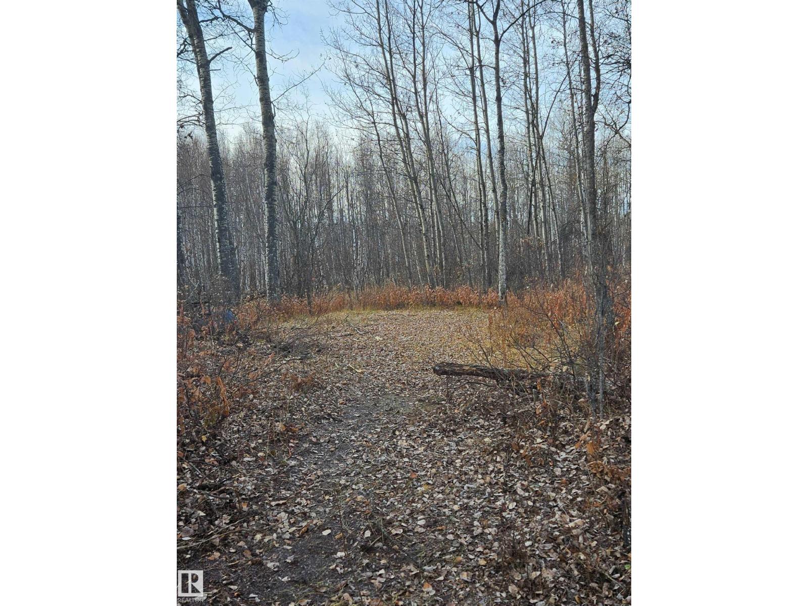 55232 Range Road 34a, Rural Lac Ste. Anne County, Alberta T0E 1A0 - Photo 8 - E4464230