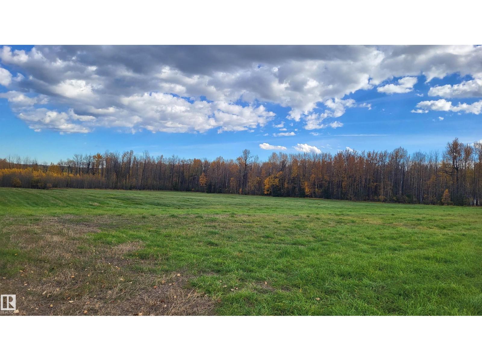 B 49111 Range Road 73, Rural Brazeau County, Alberta  T7A 2A2 - Photo 18 - E4464263