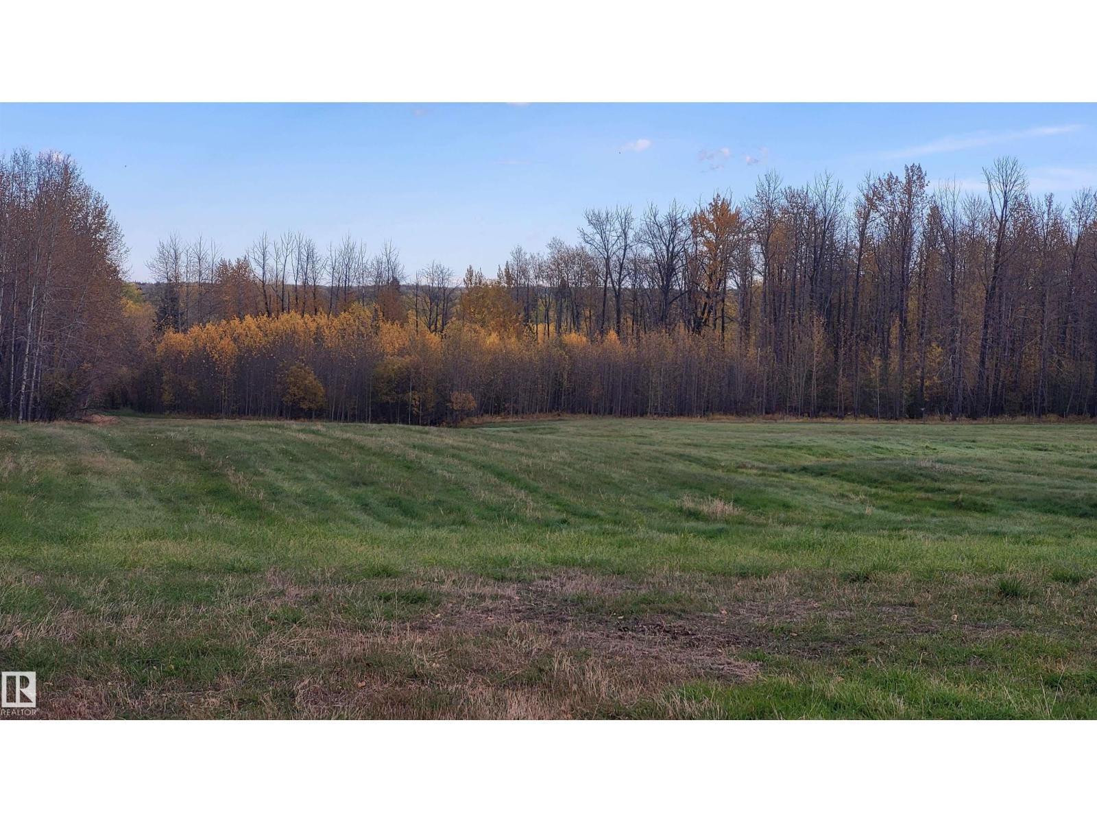 B 49111 Range Road 73, Rural Brazeau County, Alberta  T7A 2A2 - Photo 20 - E4464263