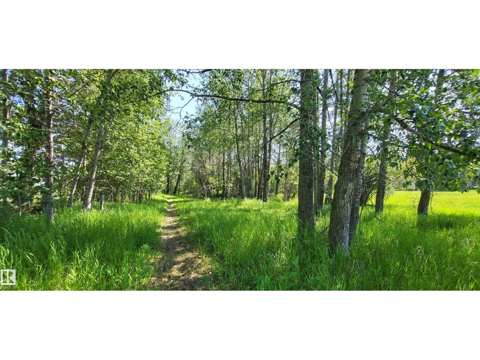 Twp 491 Range Road 73, Rural Brazeau County, Alberta T7A 2A2 - Photo 3 - E4464263