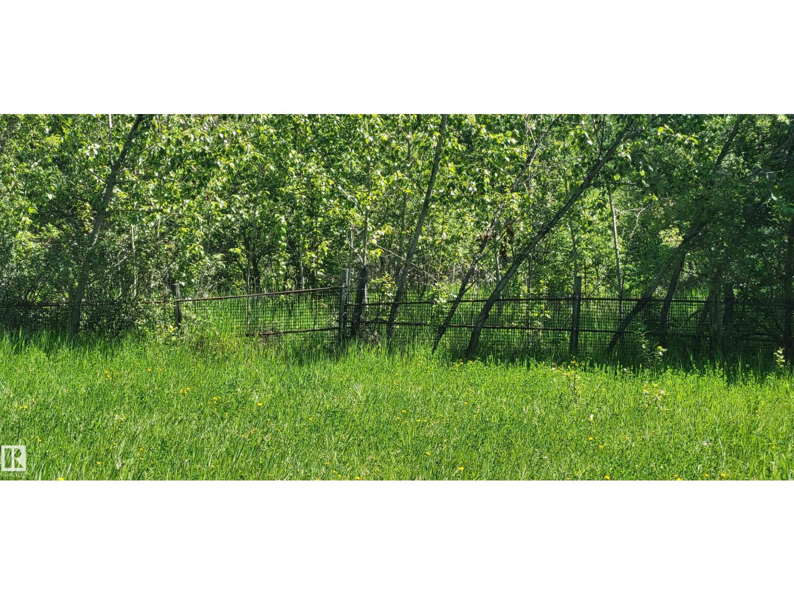 Twp 491 Range Road 73, Rural Brazeau County, Alberta T7A 2A2 - Photo 4 - E4464263