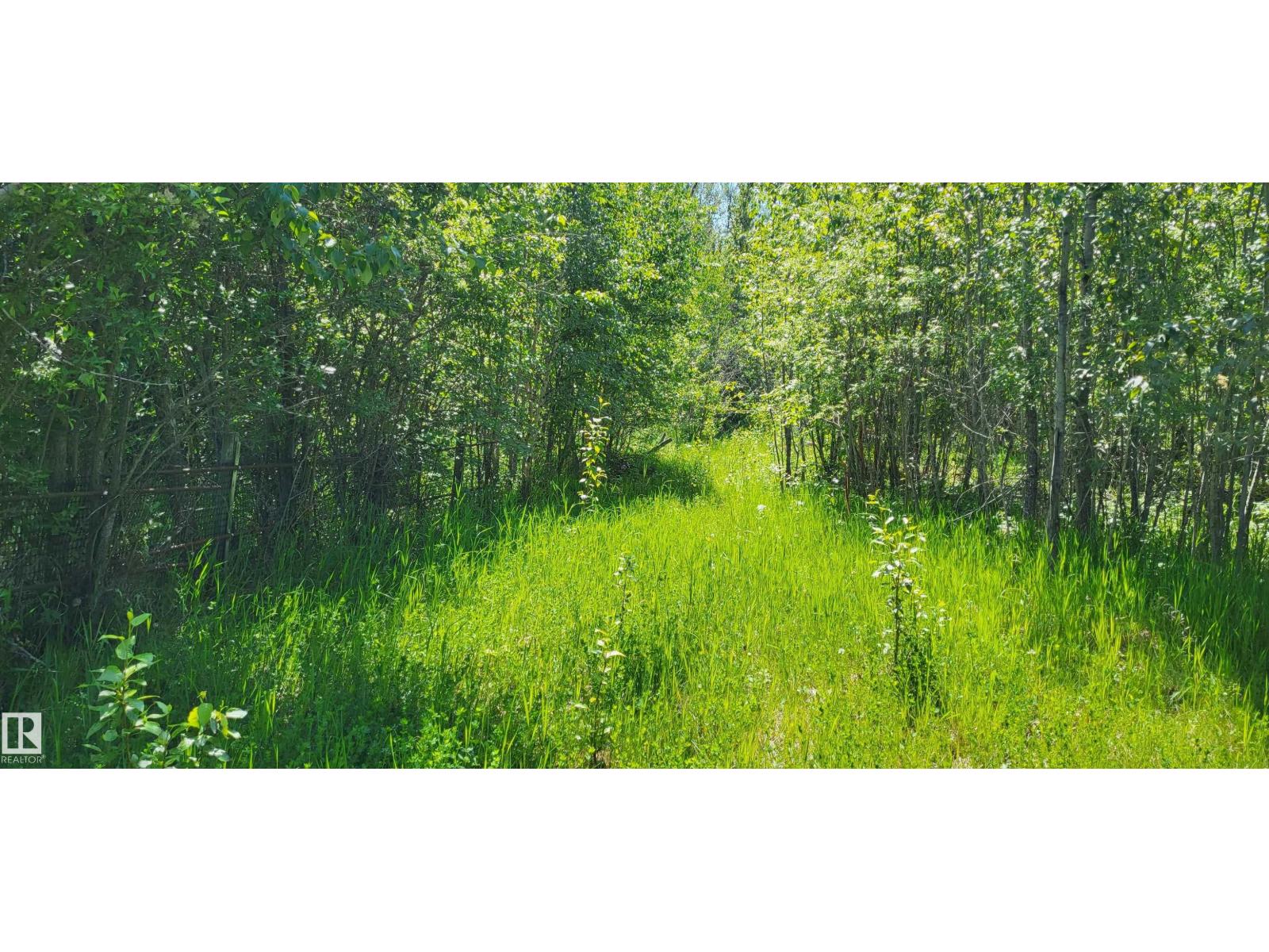 Twp 491 Range Road 73, Rural Brazeau County, Alberta T7A 2A2 - Photo 5 - E4464263