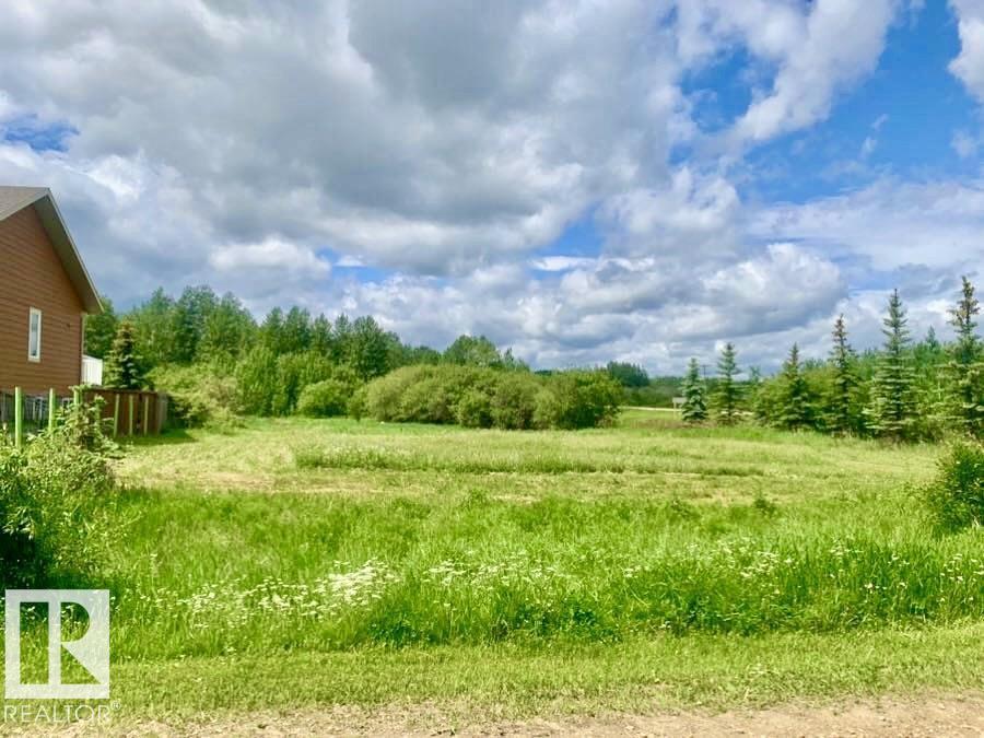 433 Swedberg St, Rural Wetaskiwin County, Alberta  T0C 2V0 - Photo 1 - E4464473