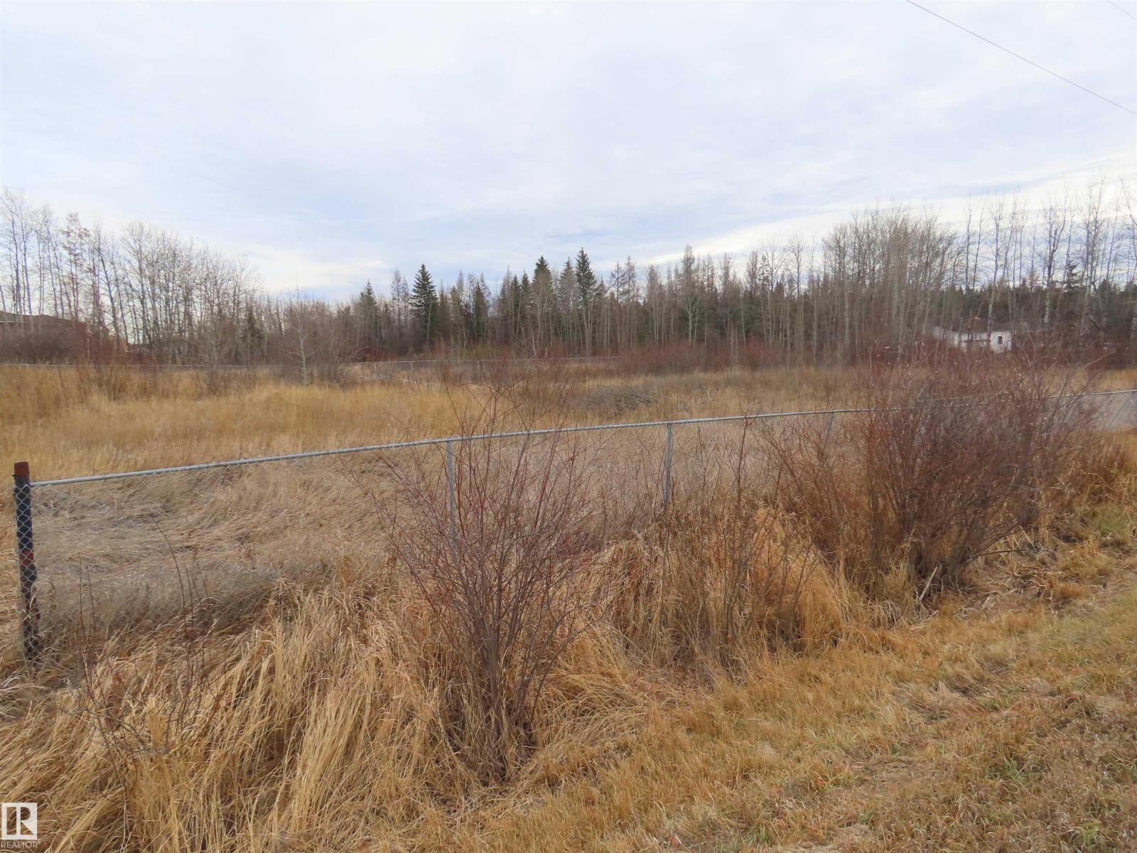 5400 48 St, Sangudo, Alberta  T0E 2A0 - Photo 2 - E4464918