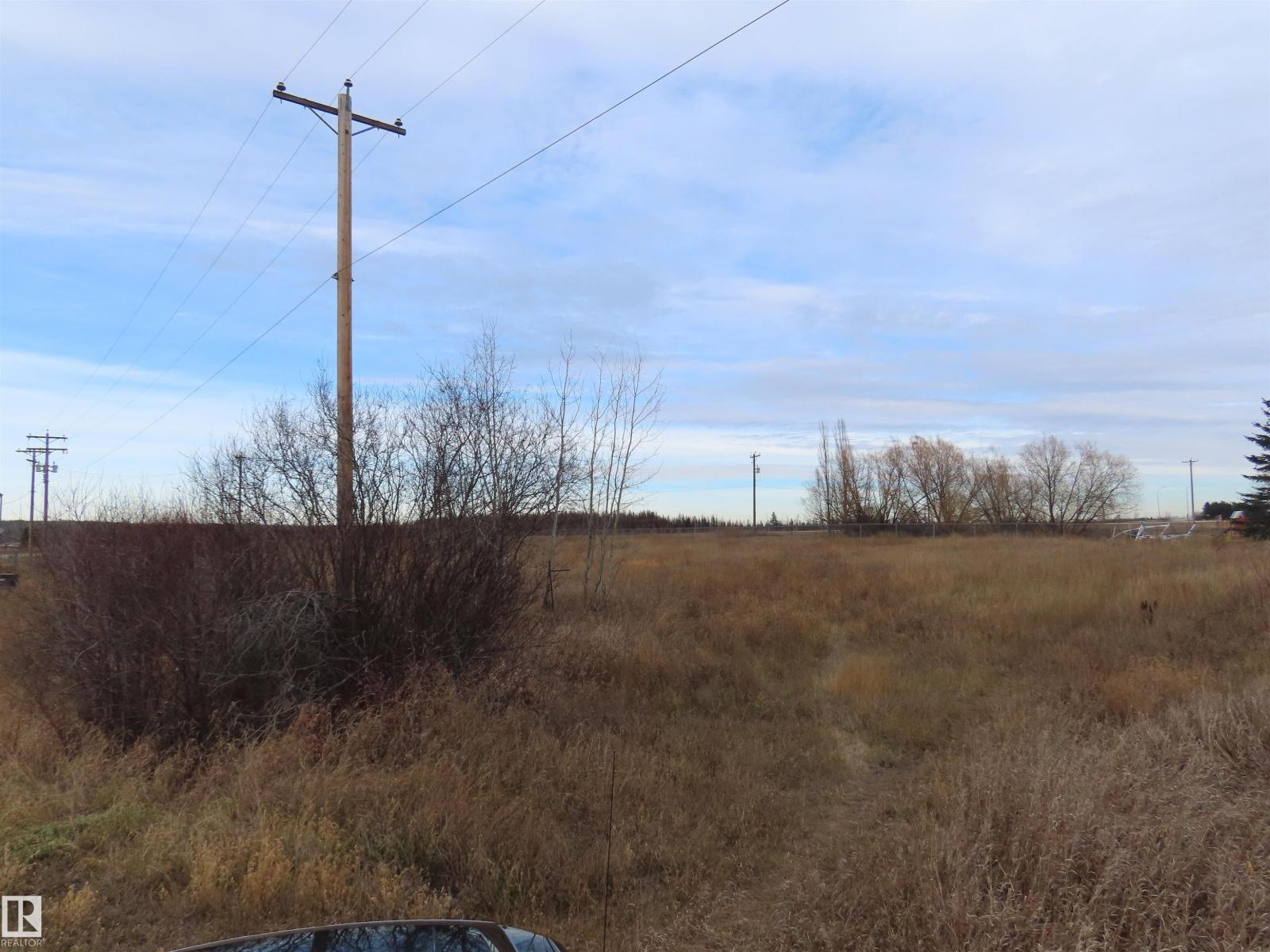 5400 48 St, Sangudo, Alberta  T0E 2A0 - Photo 3 - E4464918