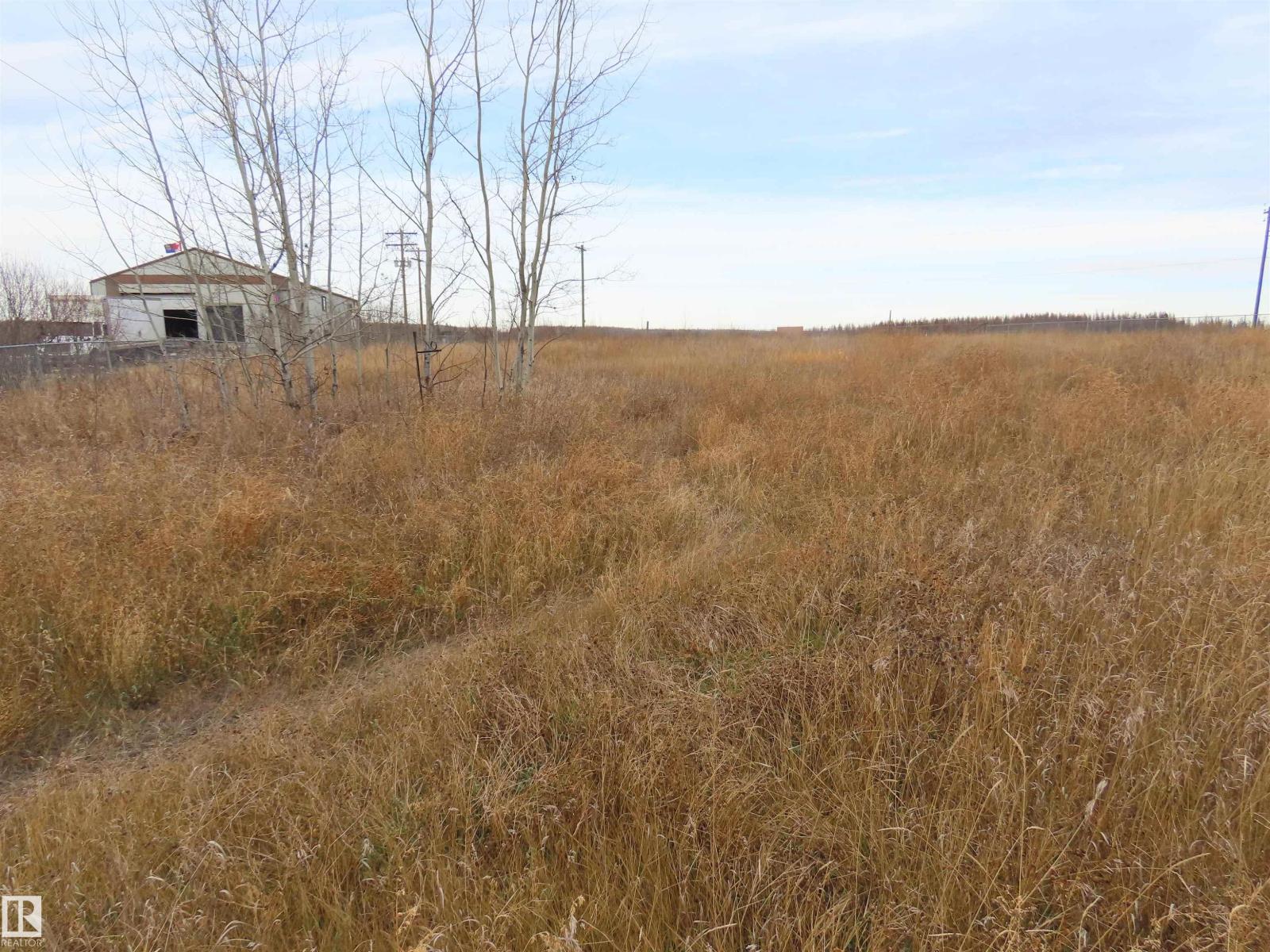 5400 48 St, Sangudo, Alberta  T0E 2A0 - Photo 4 - E4464918