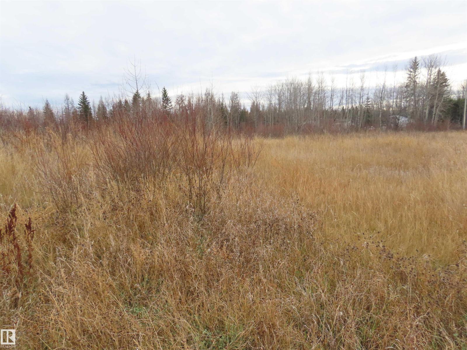 5400 48 St, Sangudo, Alberta  T0E 2A0 - Photo 5 - E4464918