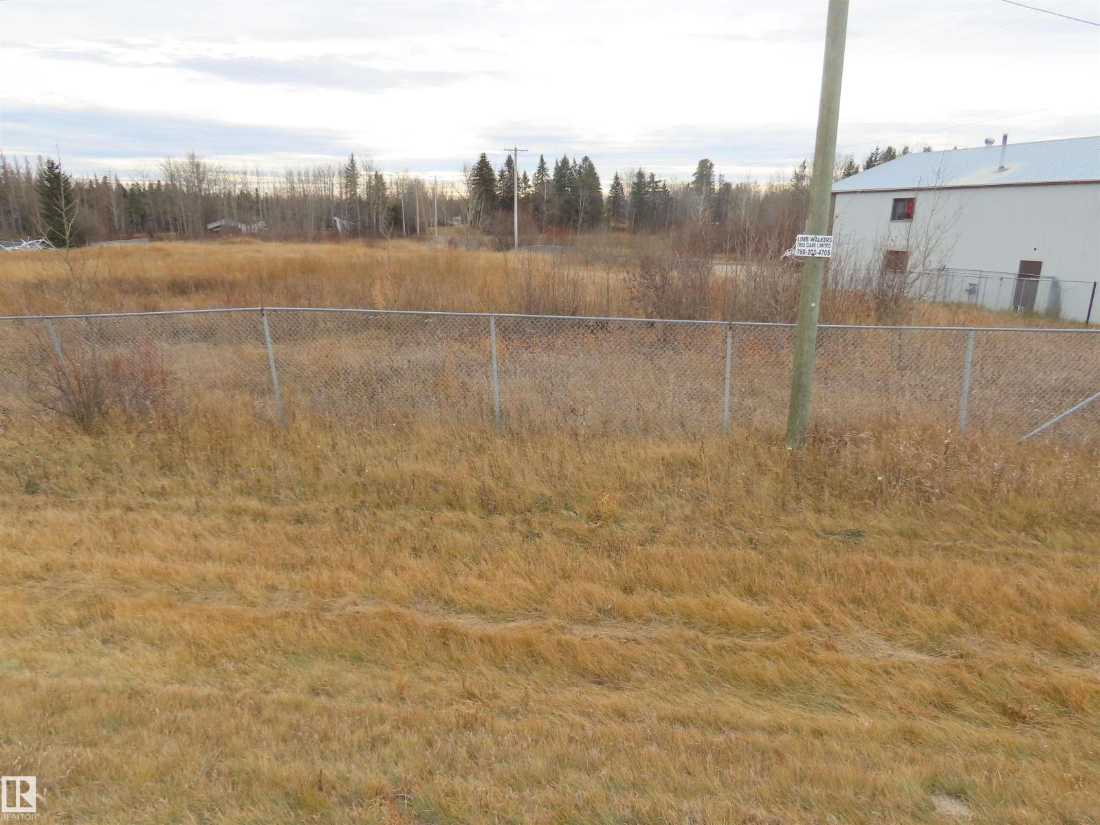 5400 48 St, Sangudo, Alberta  T0E 2A0 - Photo 6 - E4464918