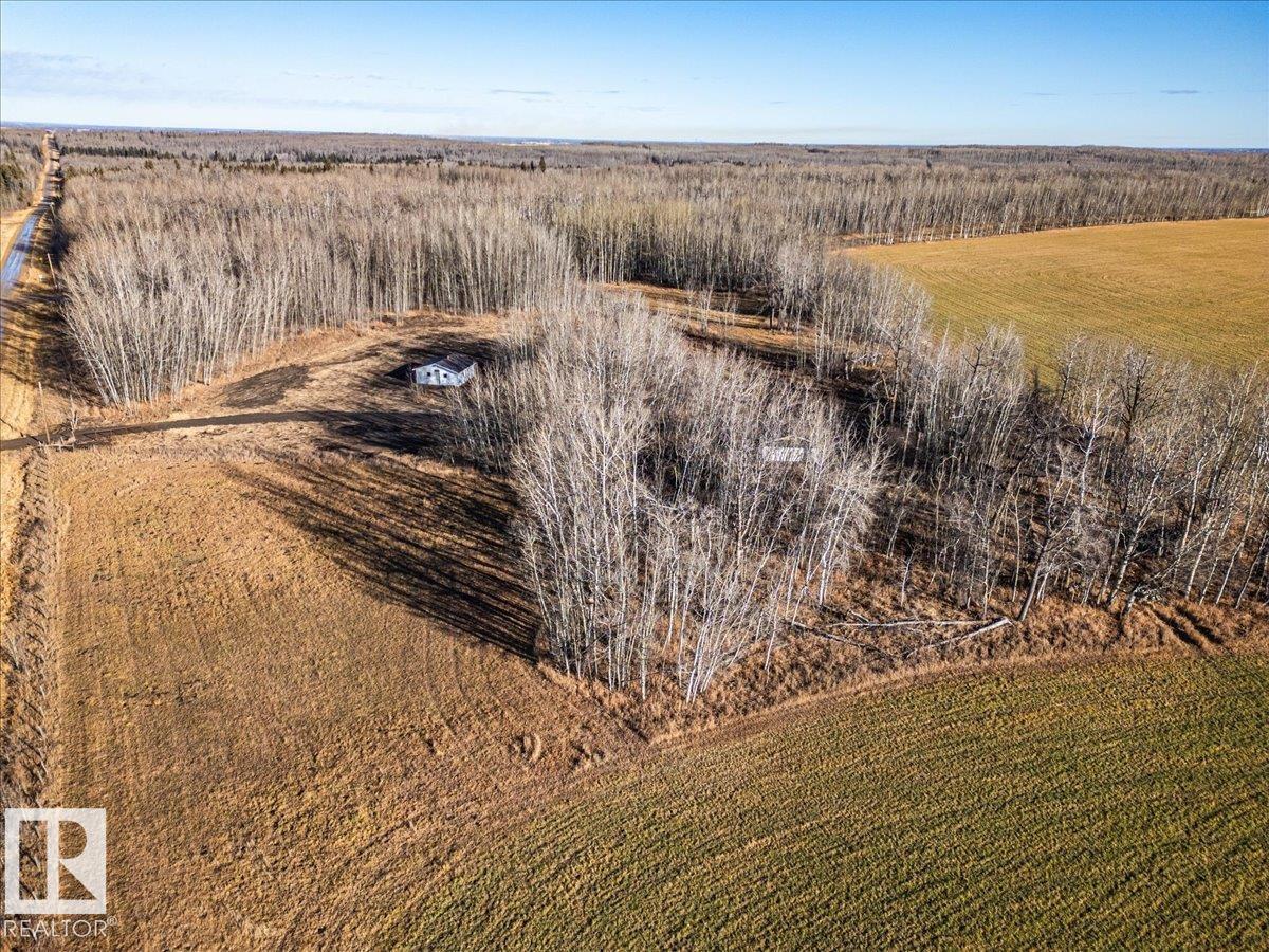 481077 Rge Road 281, Rural Wetaskiwin County, Alberta T0C 2P0 - Photo 8 - E4465668