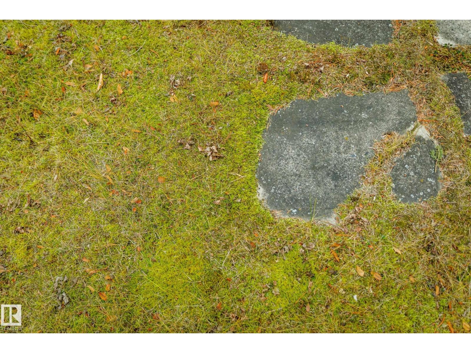 4708 44 St, Rural Lac Ste. Anne County, Alberta  T0E 0A0 - Photo 20 - E4466512