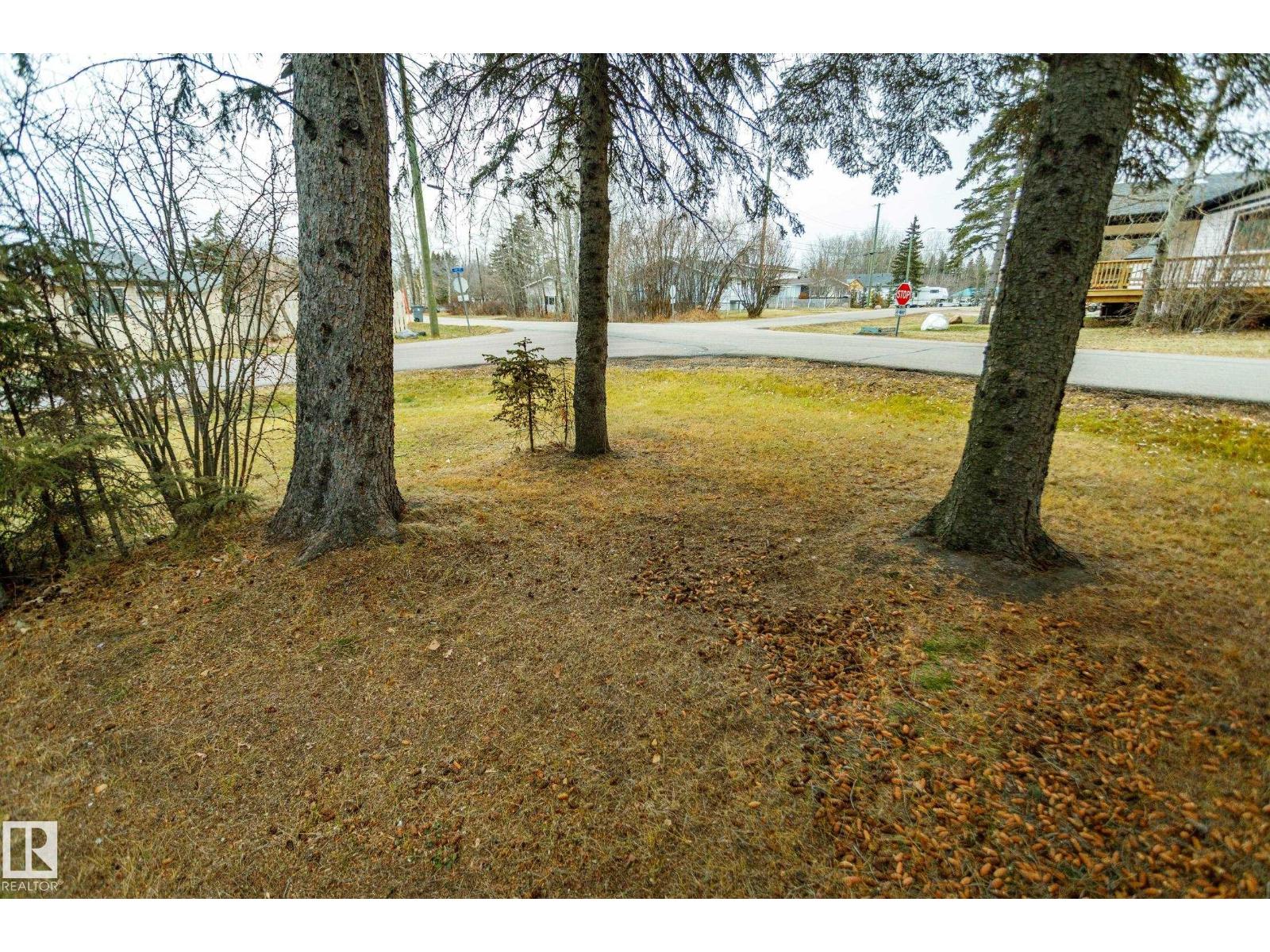 4708 44 St, Rural Lac Ste. Anne County, Alberta  T0E 0A0 - Photo 43 - E4466512