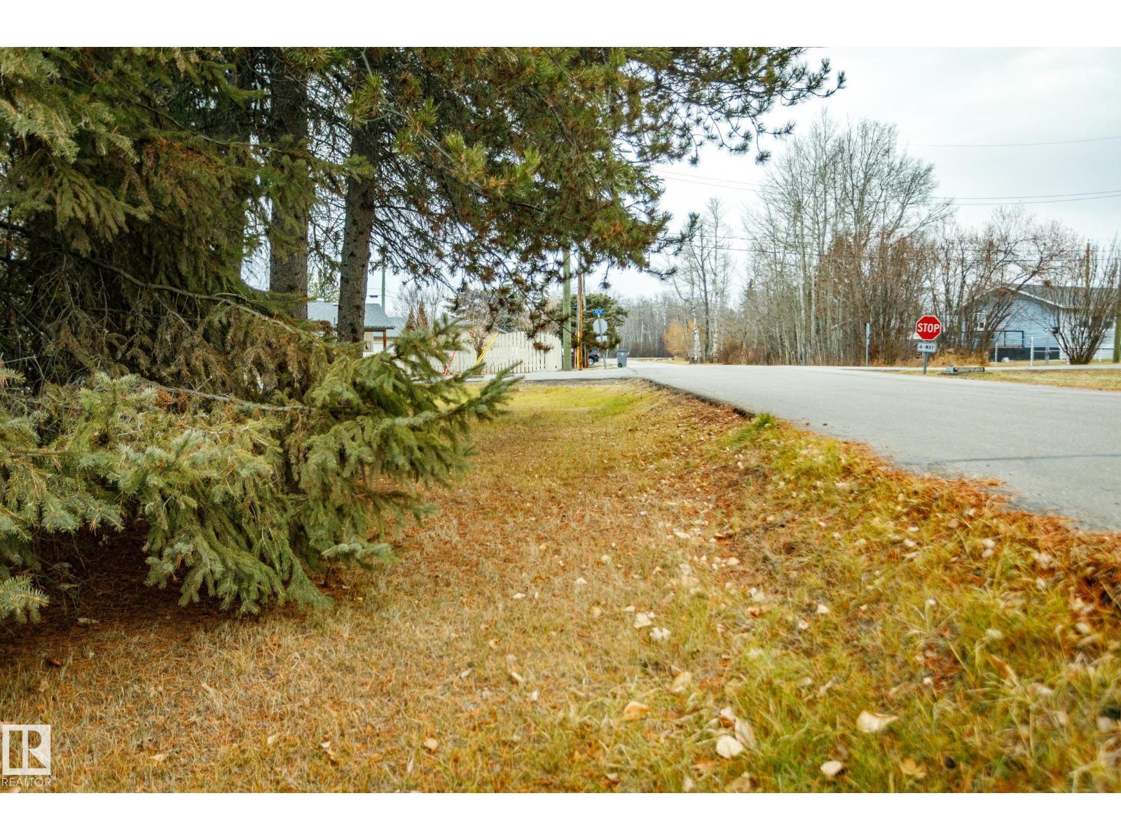 4708 44 St, Rural Lac Ste. Anne County, Alberta  T0E 0A0 - Photo 47 - E4466512
