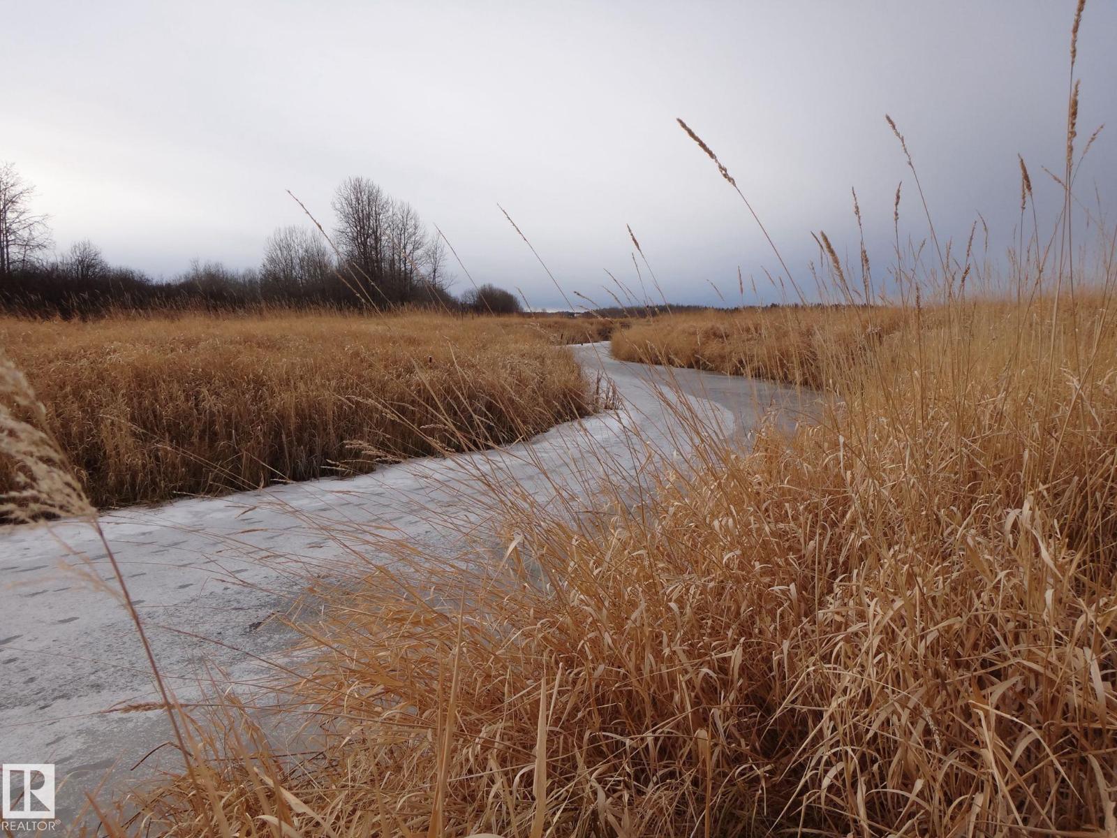 5:9:53:28 West Of The 5th Rd, Rural Yellowhead, Alberta T0E 0T0 - Photo 1 - E4466708