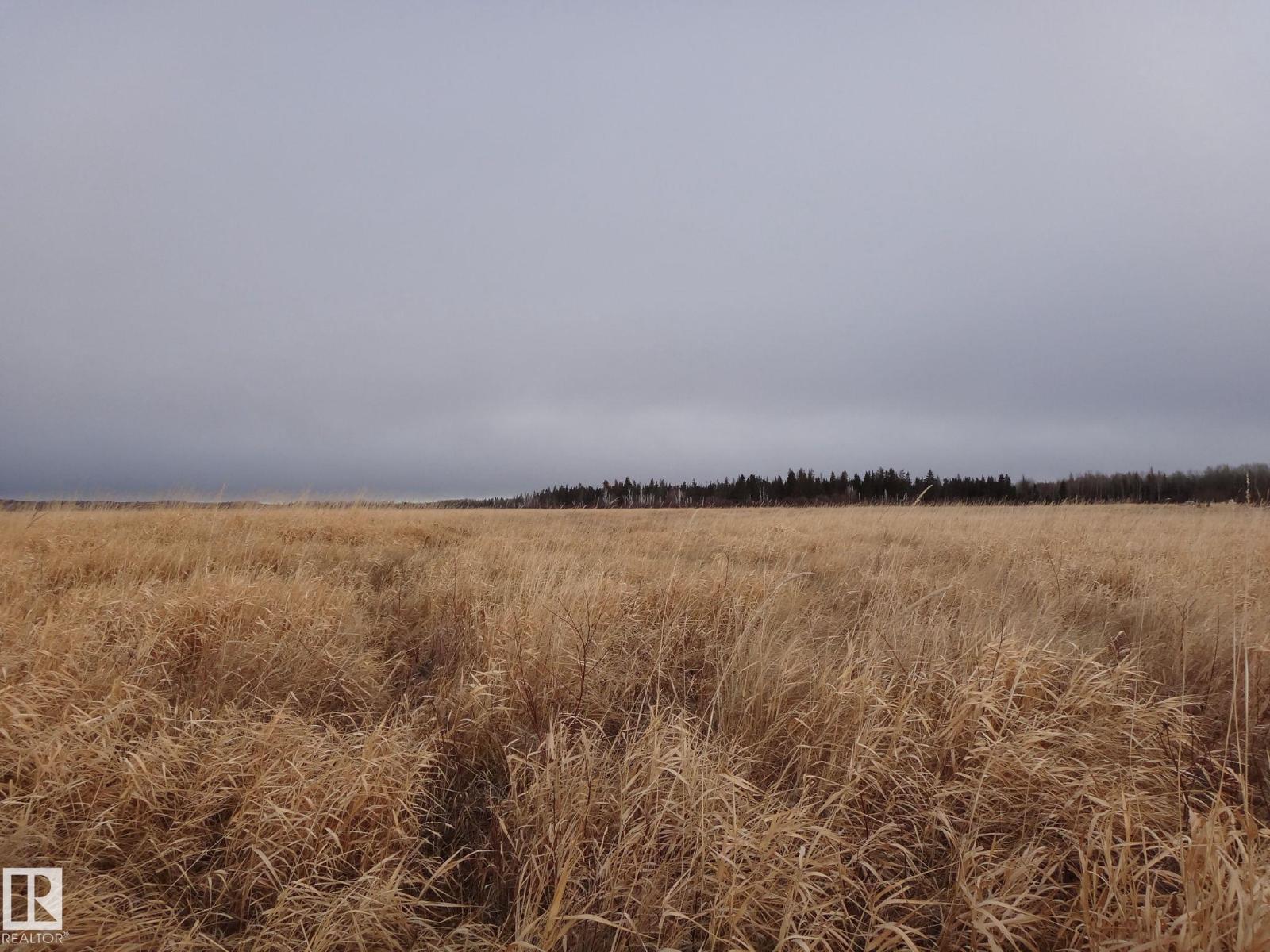 5:9:53:28 West Of The 5th Rd, Rural Yellowhead, Alberta T0E 0T0 - Photo 2 - E4466708