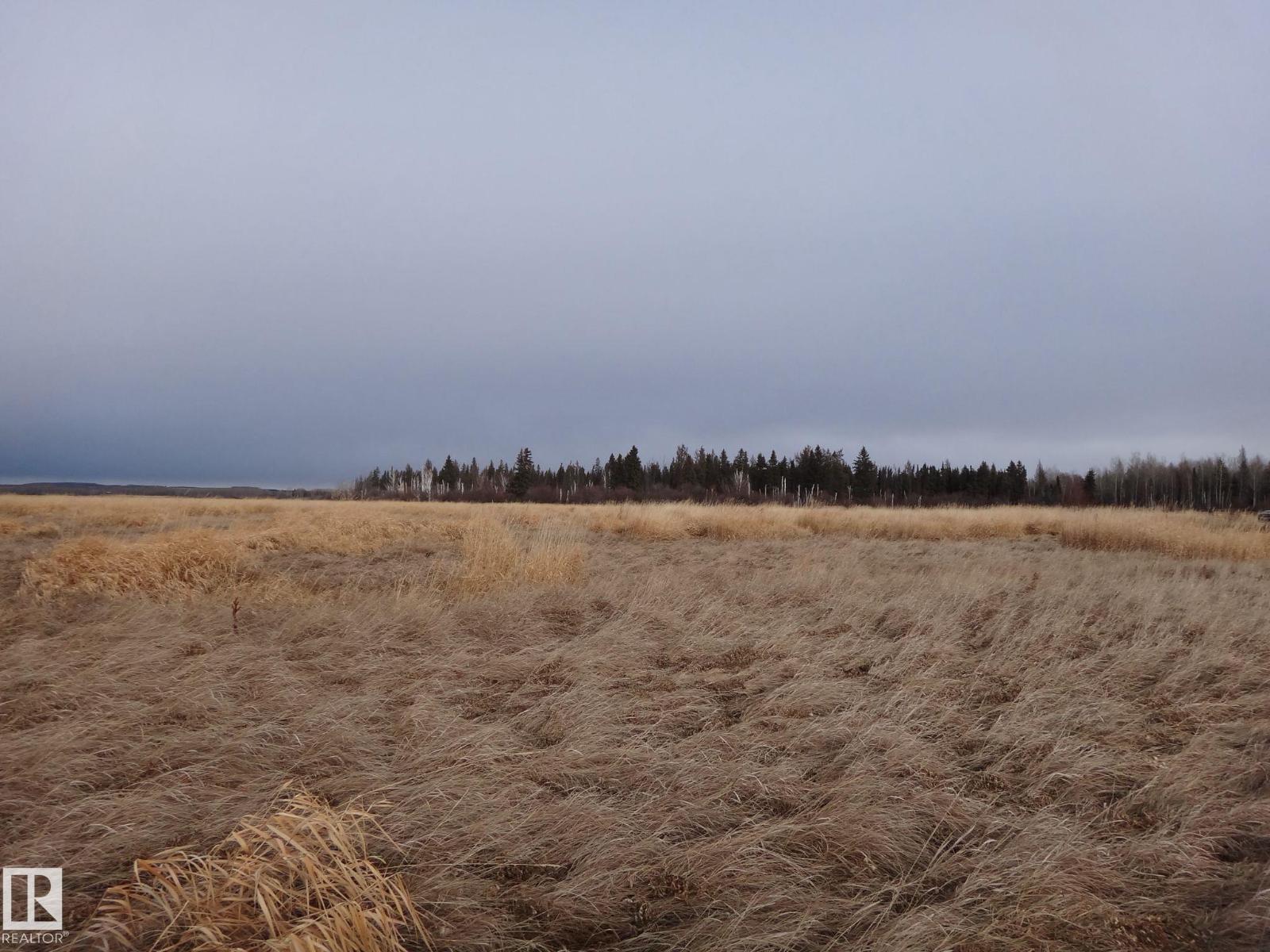 5:9:53:28 West Of The 5th Rd, Rural Yellowhead, Alberta T0E 0T0 - Photo 3 - E4466708