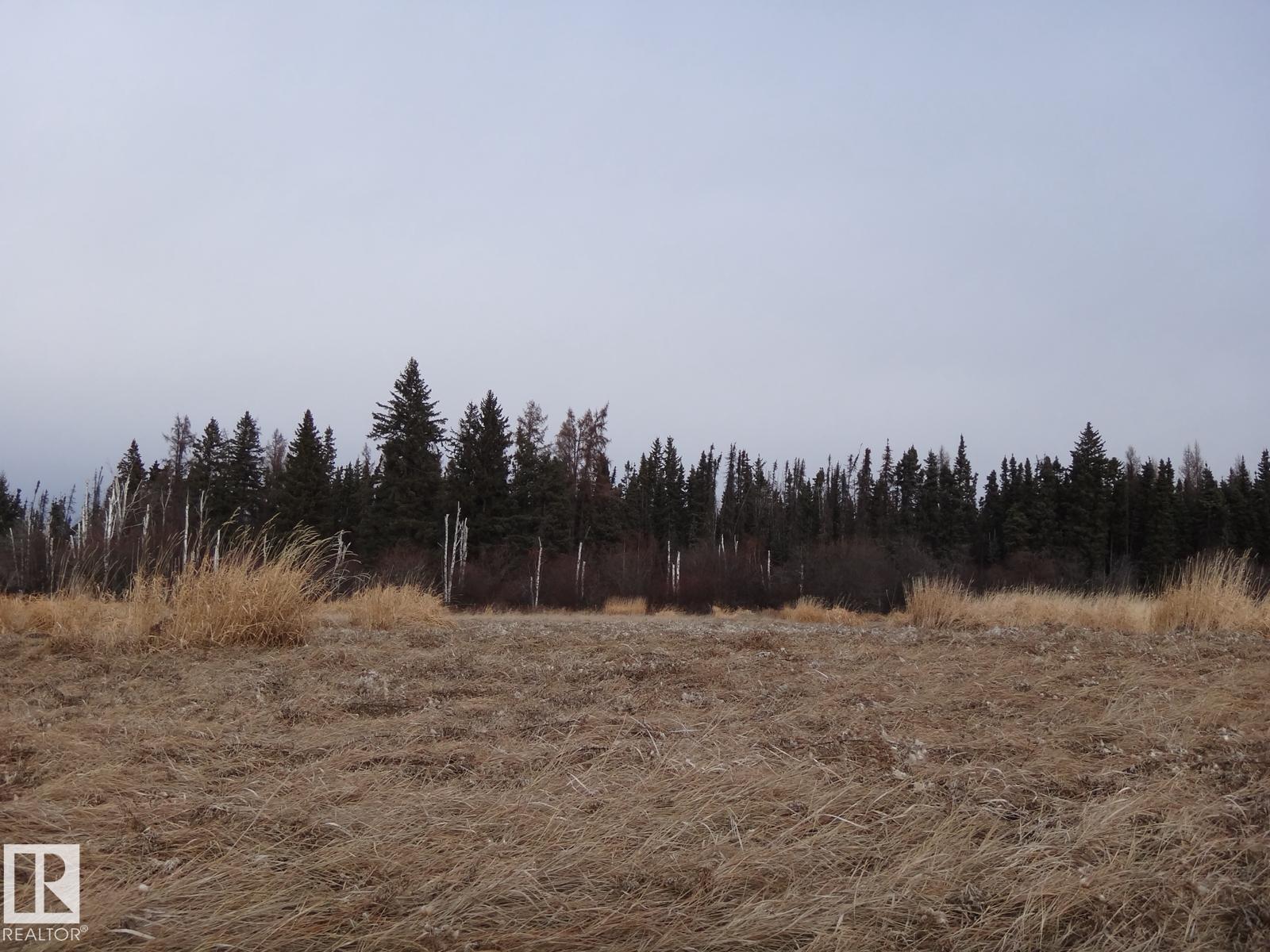 00000 0000, Rural Yellowhead, Alberta T0E 2M0 - Photo 1 - E4466711
