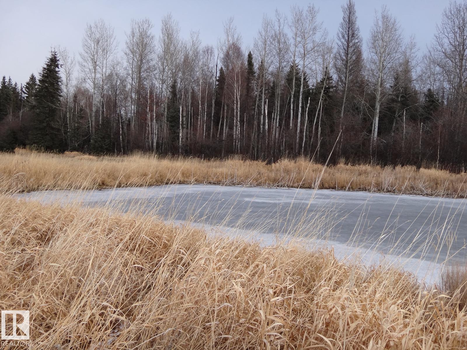 00000 0000, Rural Yellowhead, Alberta T0E 2M0 - Photo 2 - E4466711