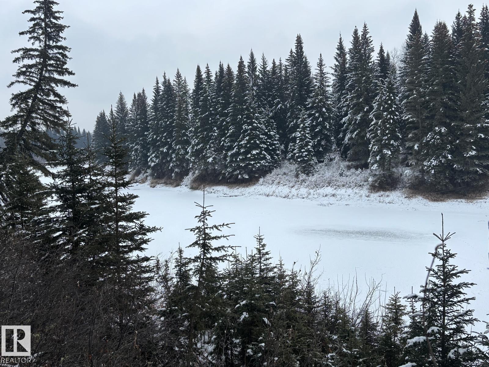 Rr 93 Twp Rd. 493, Rural Brazeau County, Alberta  T7A 2A3 - Photo 2 - E4466966