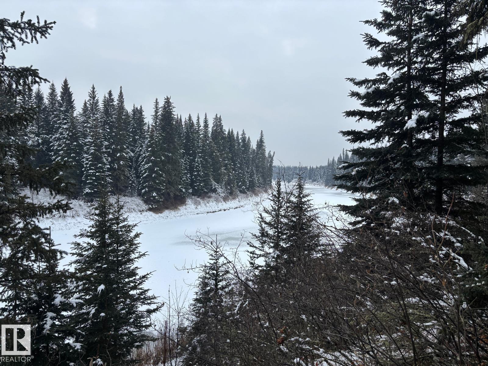 Rr 93 Twp Rd. 493, Rural Brazeau County, Alberta  T7A 2A3 - Photo 3 - E4466966