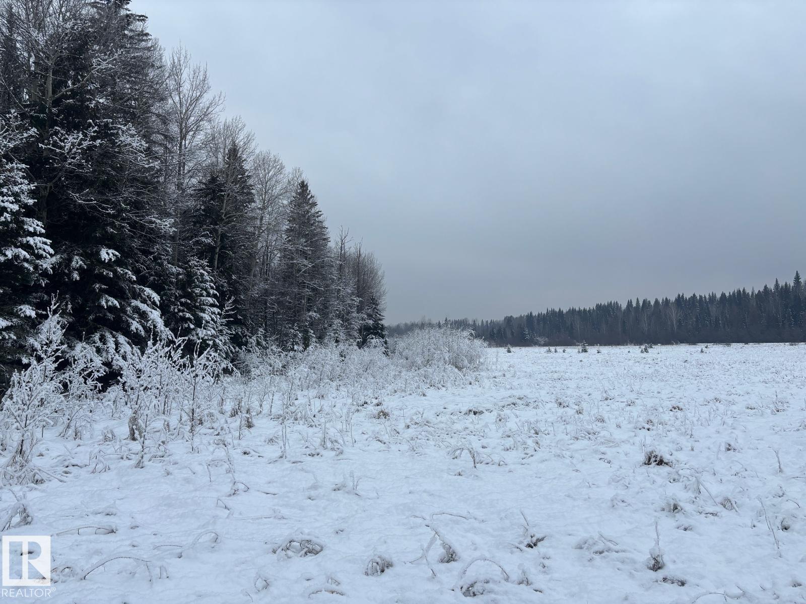 Rr 93 Twp Rd. 493, Rural Brazeau County, Alberta  T7A 2A3 - Photo 4 - E4466966