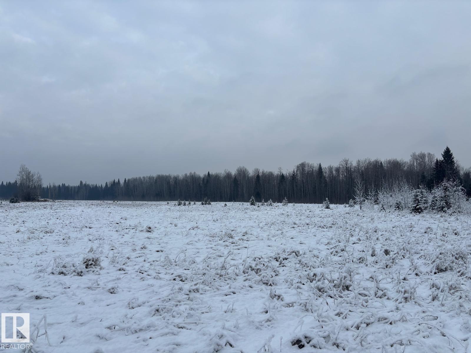 Rr 93 Twp Rd. 493, Rural Brazeau County, Alberta  T7A 2A3 - Photo 5 - E4466966