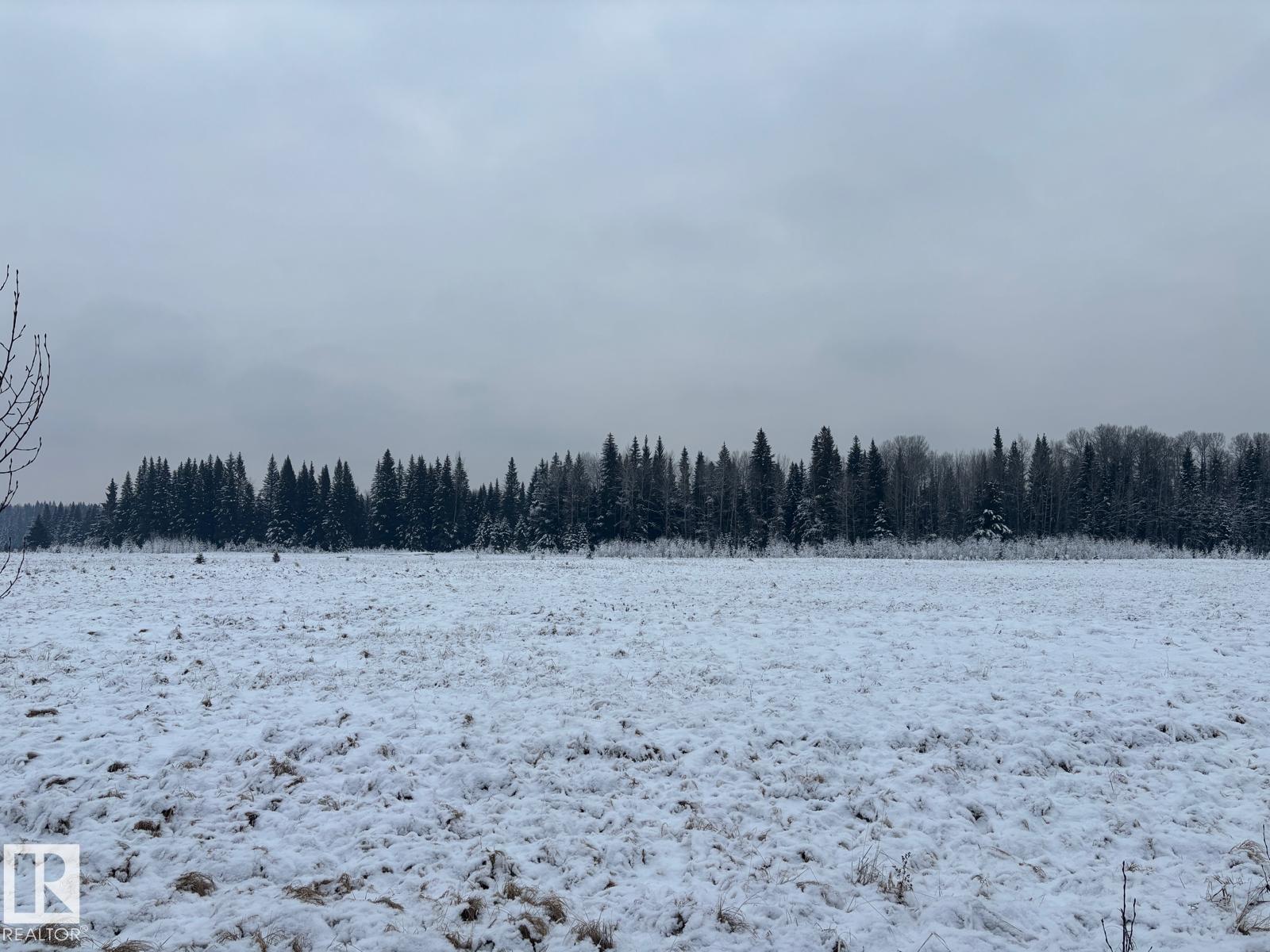 Rr 93 Twp Rd. 493, Rural Brazeau County, Alberta  T7A 2A3 - Photo 6 - E4466966