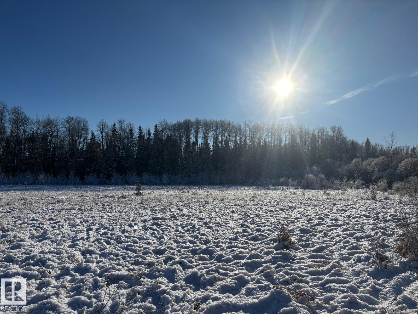 Rr 93 Twp Rd. 493, Rural Brazeau County, Alberta  T7A 2A3 - Photo 8 - E4466966