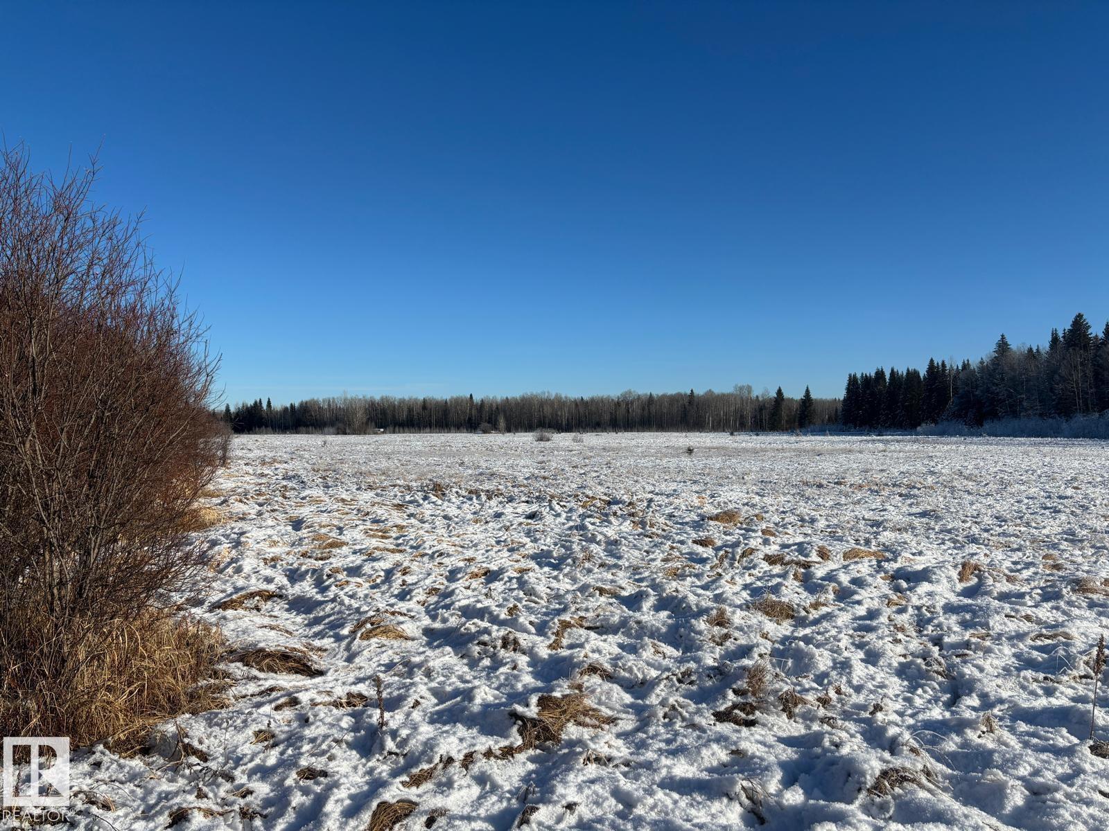 Rr 93 Twp Rd. 493, Rural Brazeau County, Alberta  T7A 2A3 - Photo 9 - E4466966