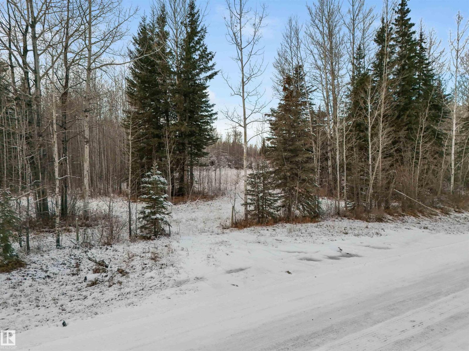 Twp 501 Range Road 91 - Lot 3, Rural Brazeau County, Alberta  T7A 2A3 - Photo 1 - E4467062