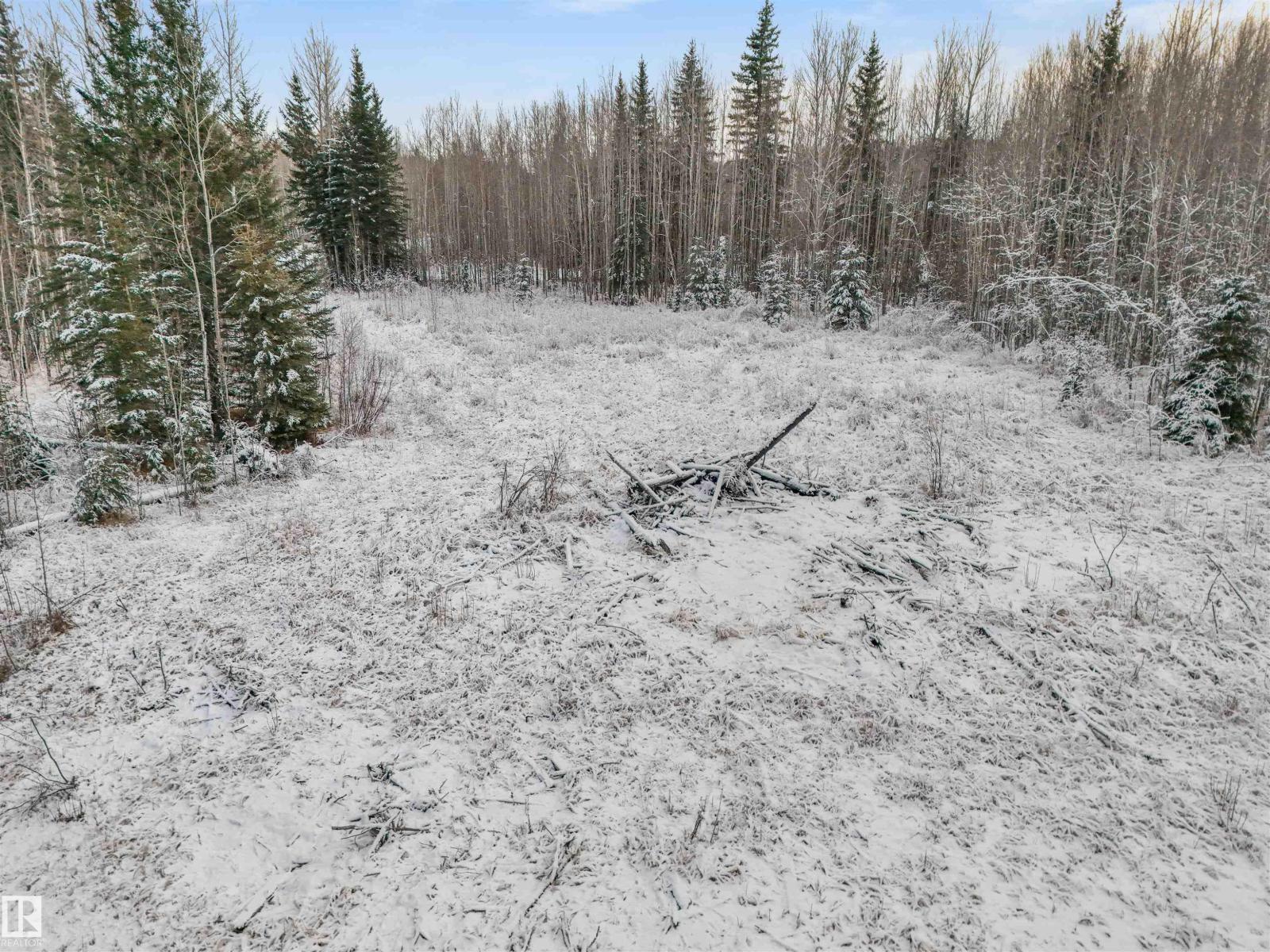 Twp 501 Range Road 91 - Lot 3, Rural Brazeau County, Alberta  T7A 2A3 - Photo 13 - E4467062