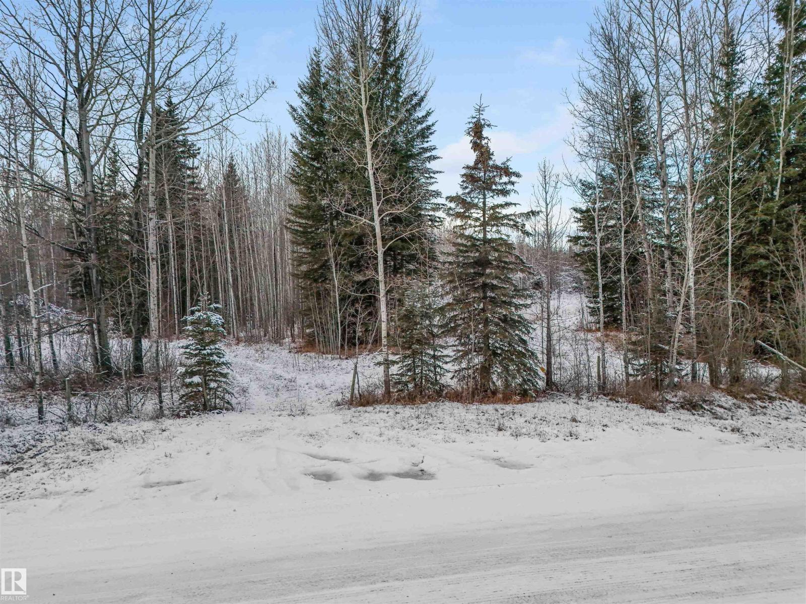 Twp 501 Range Road 91 - Lot 3, Rural Brazeau County, Alberta  T7A 2A3 - Photo 2 - E4467062