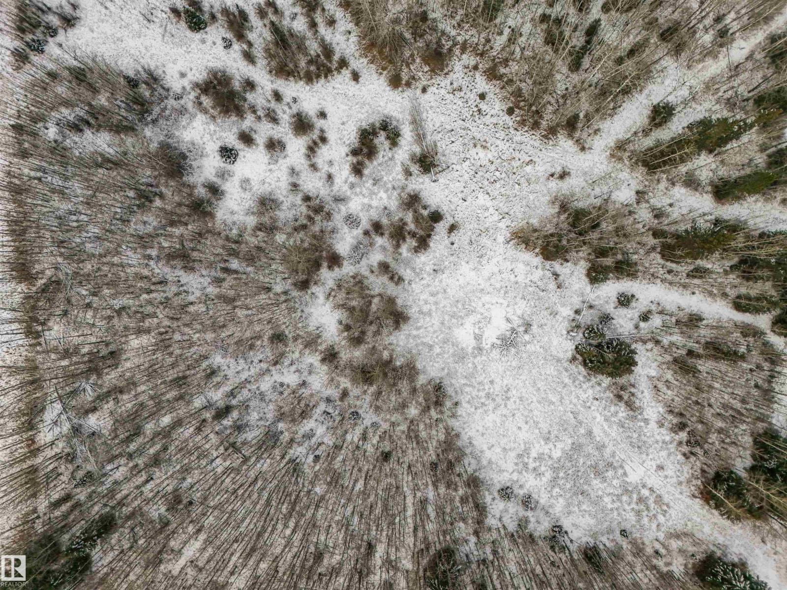 Twp 501 Range Road 91 - Lot 3, Rural Brazeau County, Alberta  T7A 2A3 - Photo 8 - E4467062