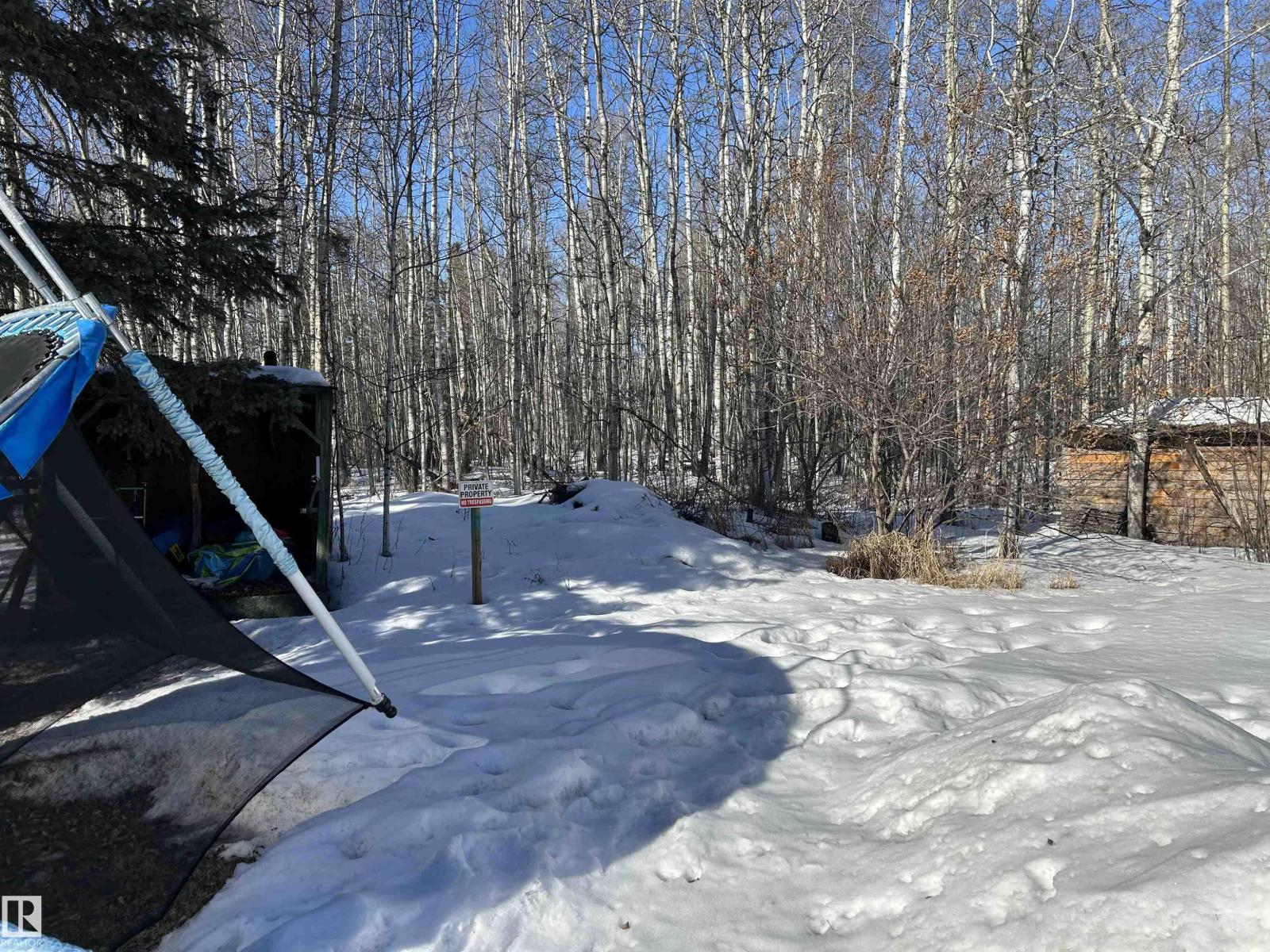 1330 Mission Beach, Rural Leduc County, Alberta T0C 2P0 - Photo 3 - E4467262